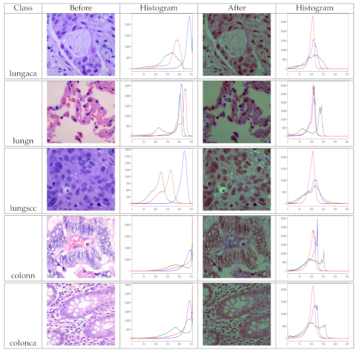 Diagnostics 11 01485 g005