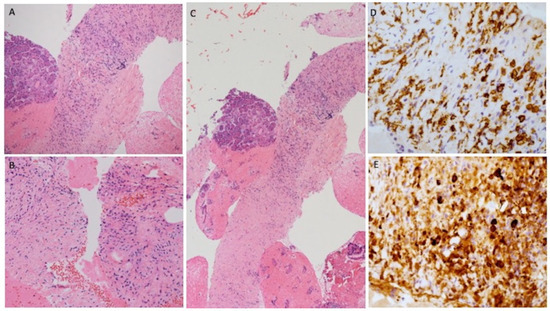 Diagnostics 11 01490 g002