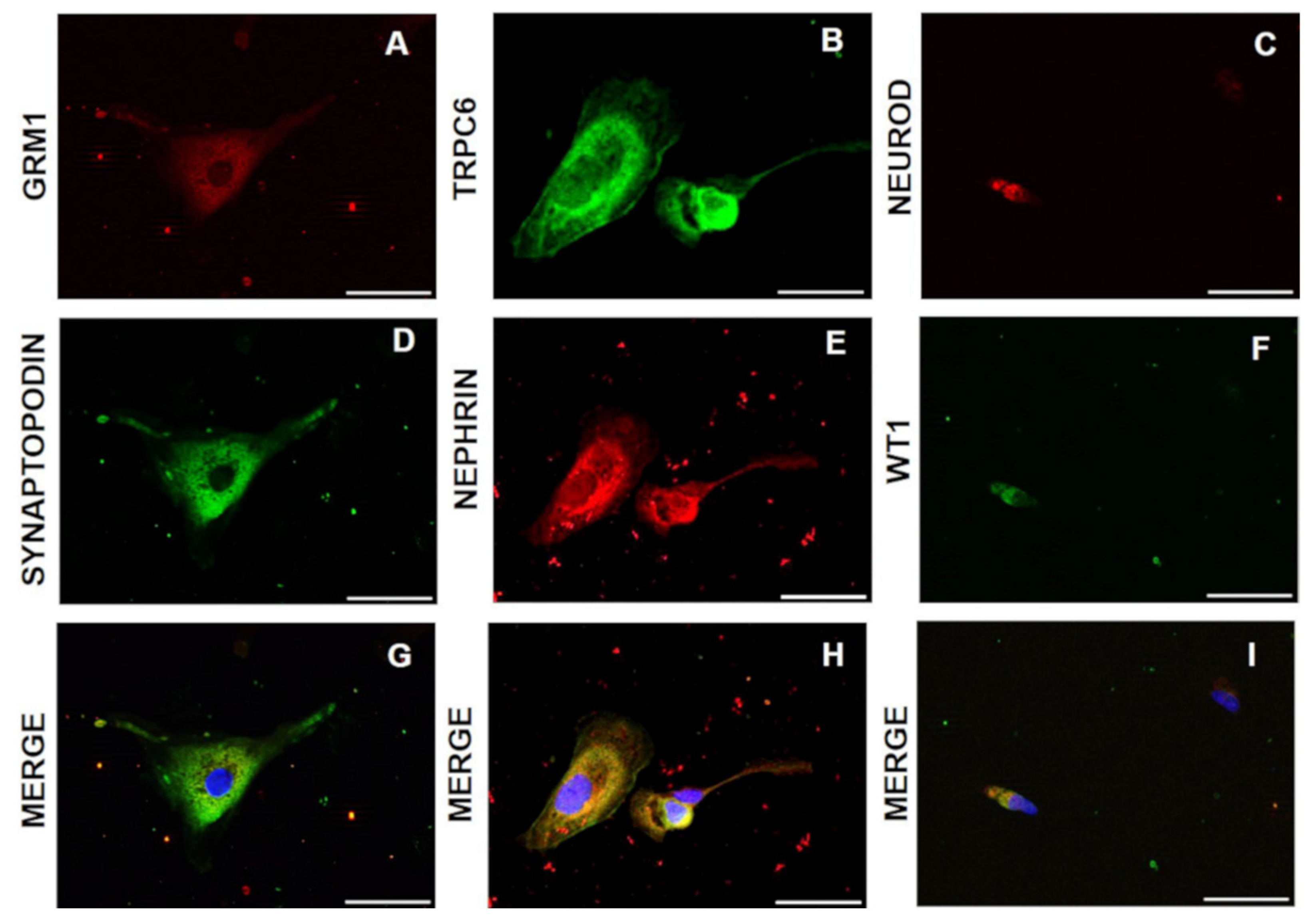 Diagnostics 11 01499 g001