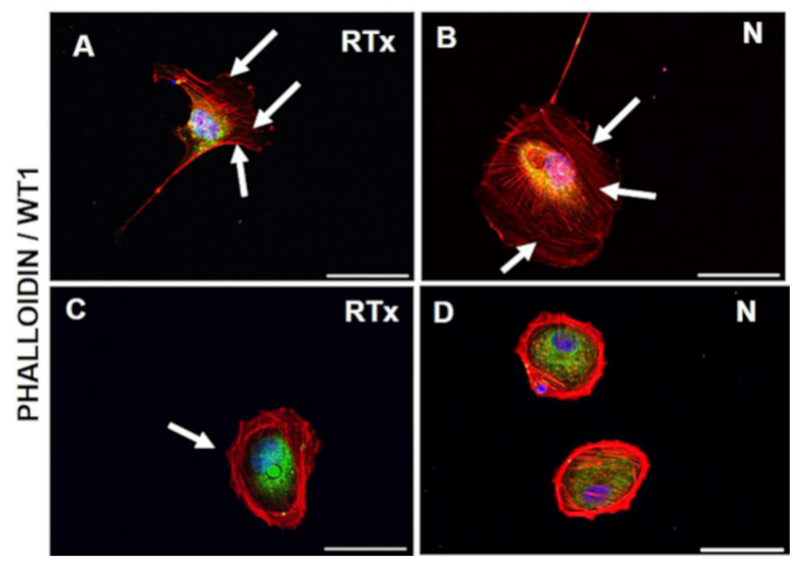 Diagnostics 11 01499 g002