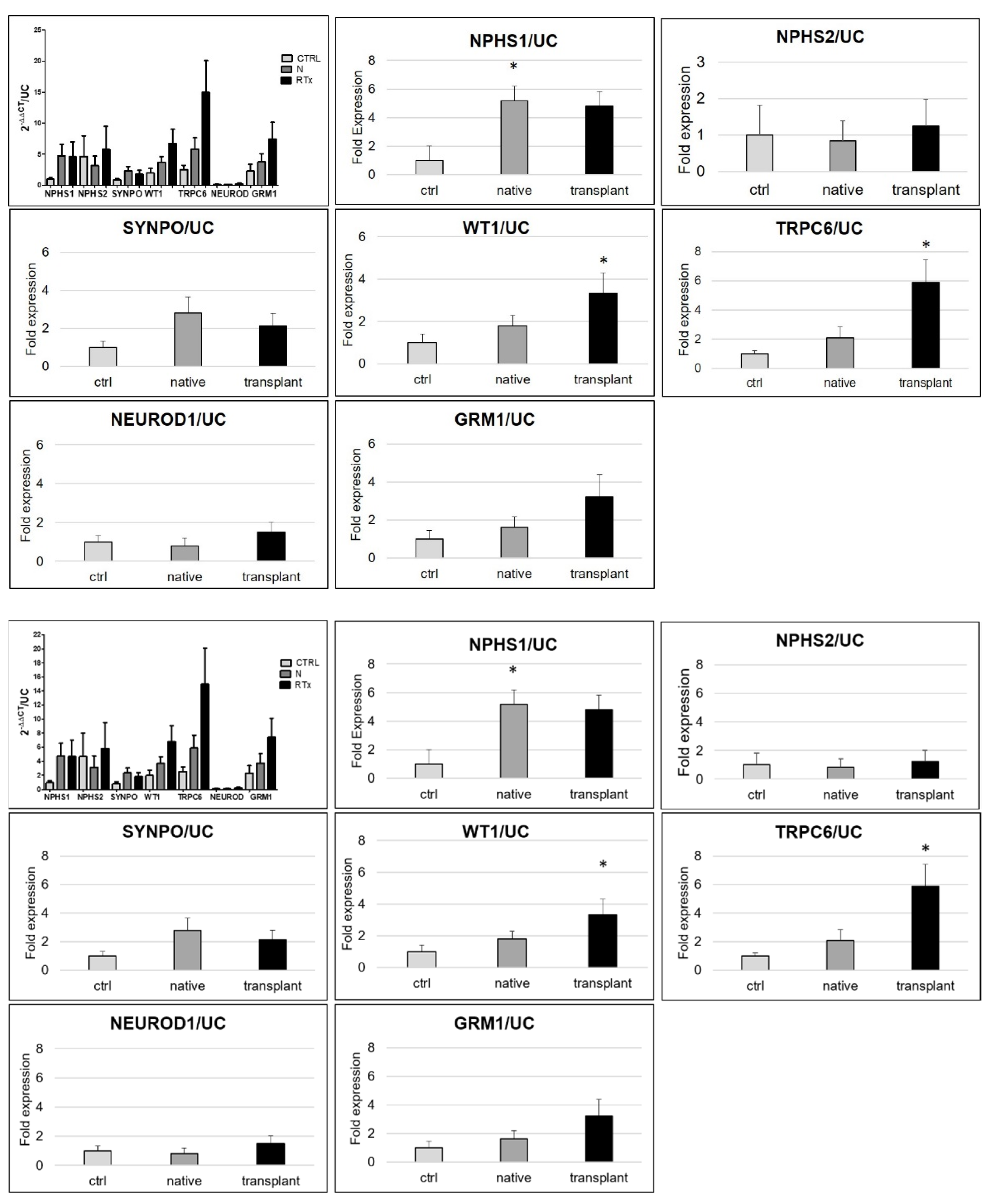 Diagnostics 11 01499 g004