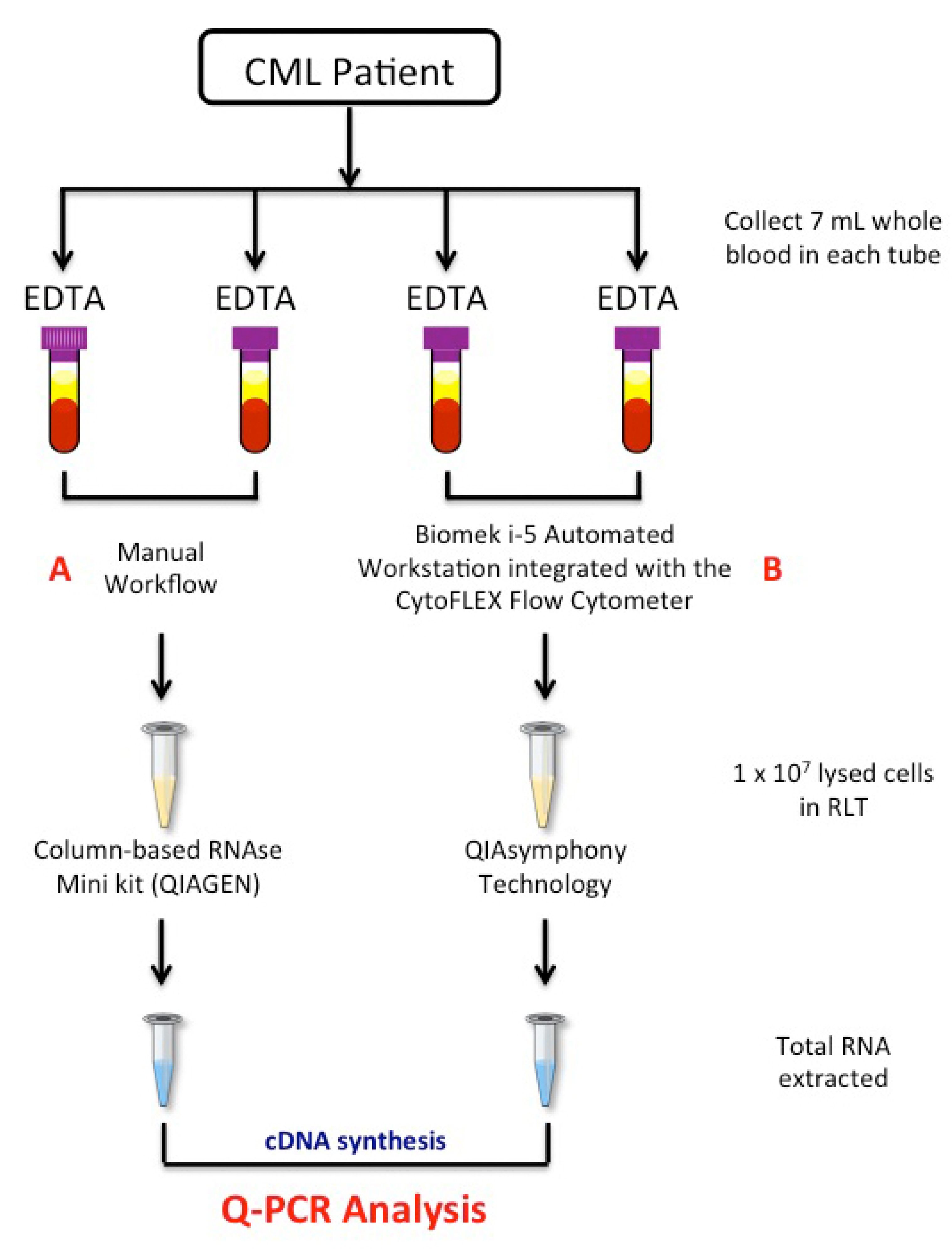 Diagnostics 11 01502 g001