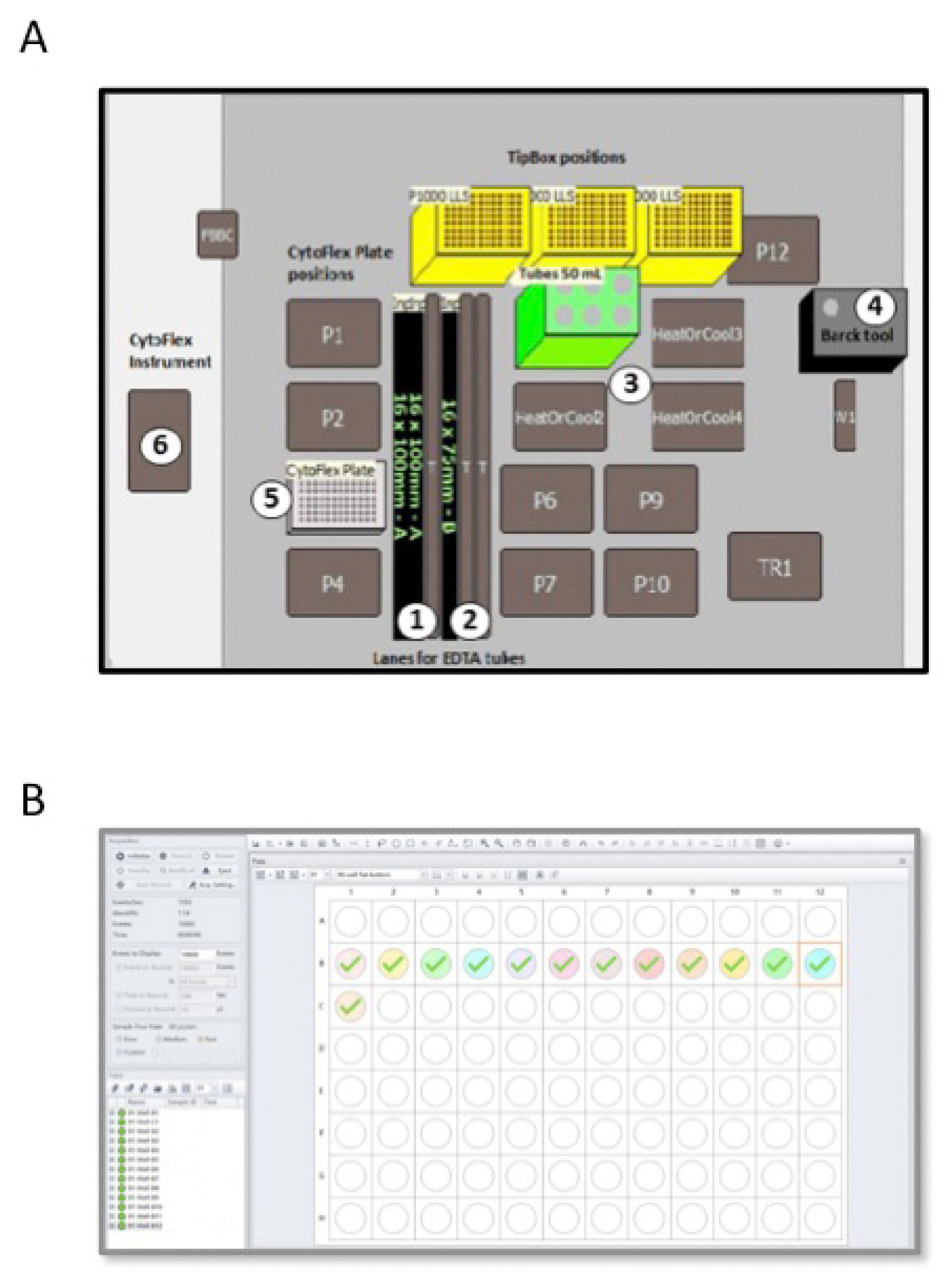 Diagnostics 11 01502 g002