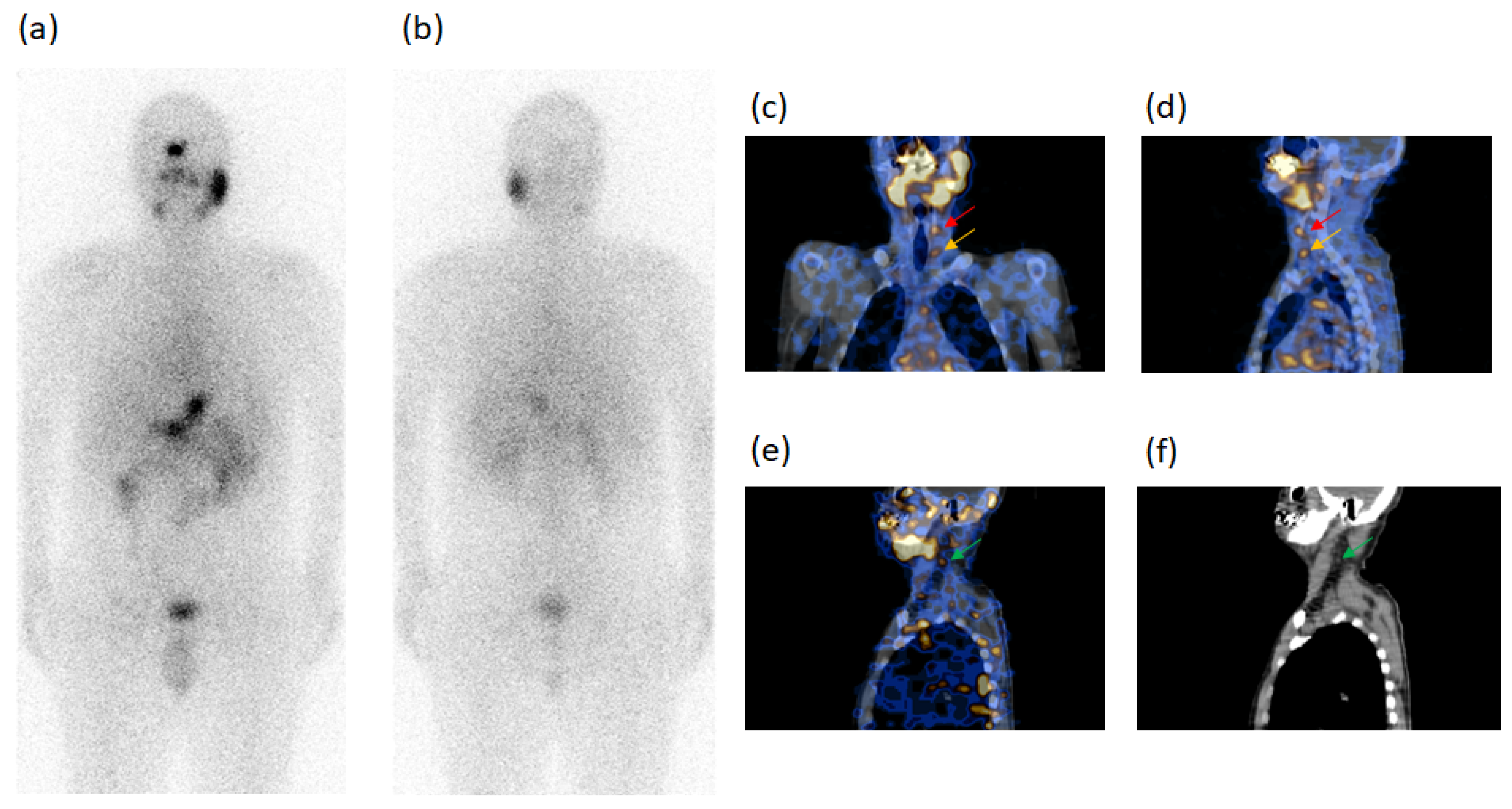 Diagnostics 11 01504 g003