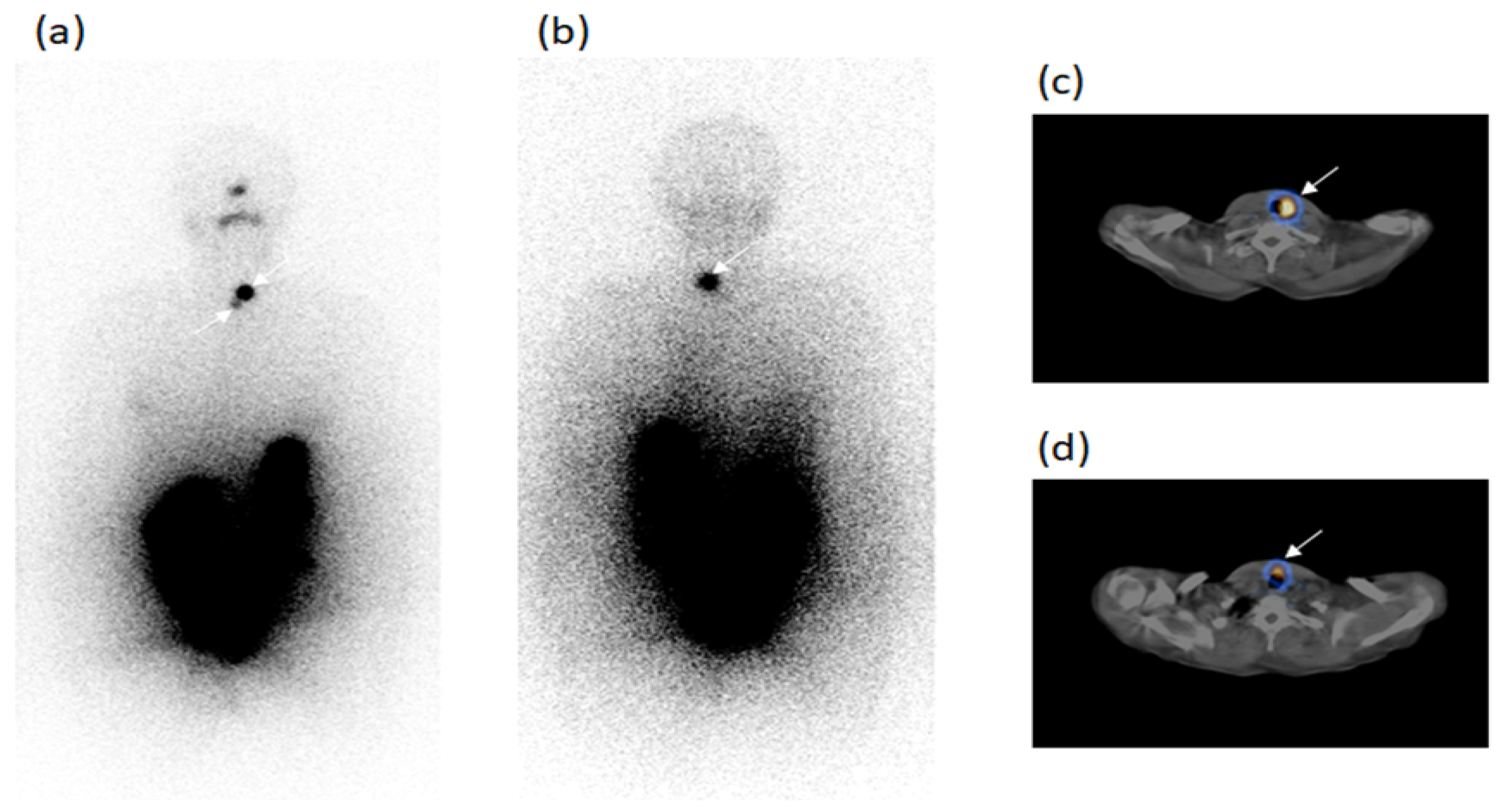 Diagnostics 11 01504 g004