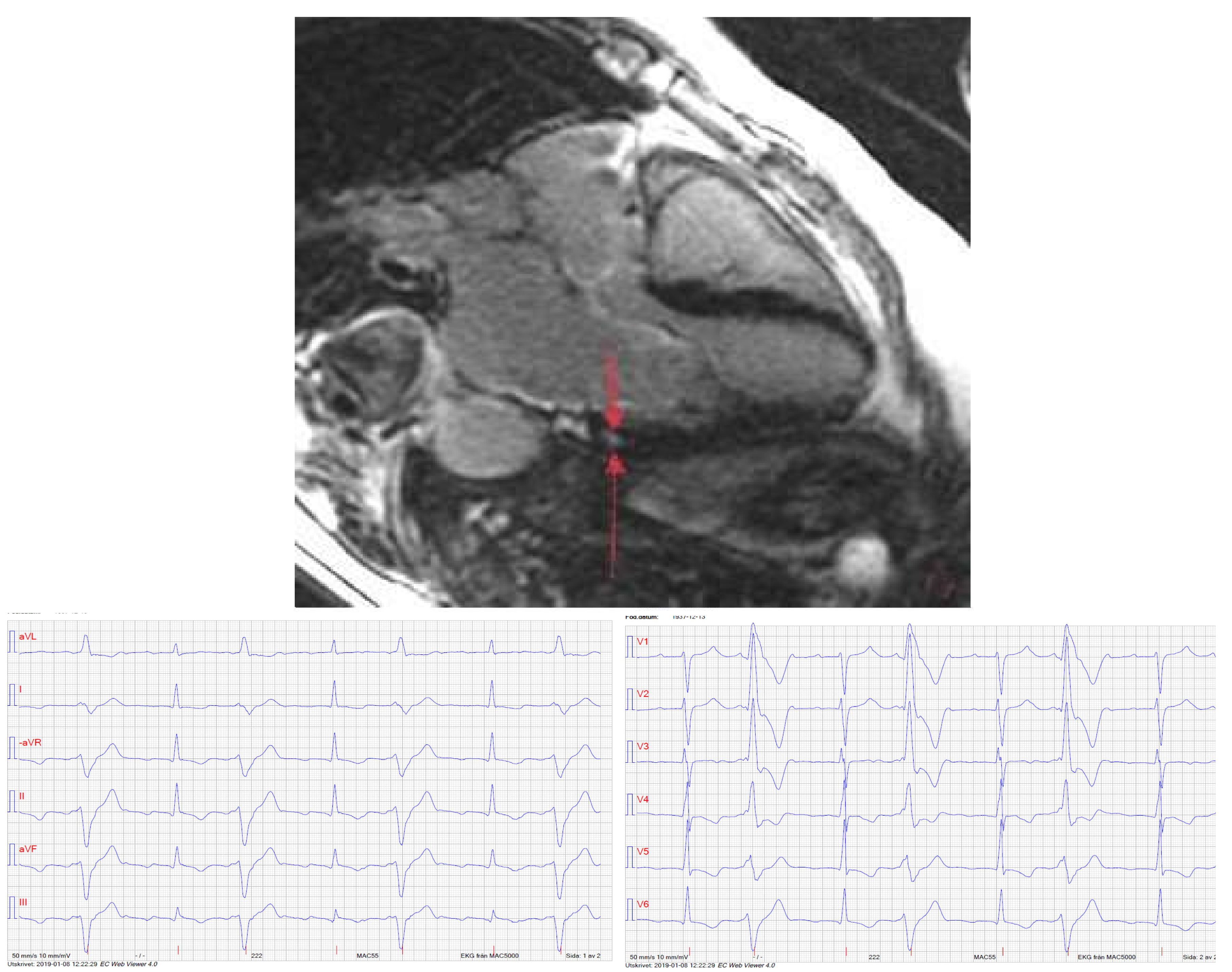 Diagnostics 11 01505 g003