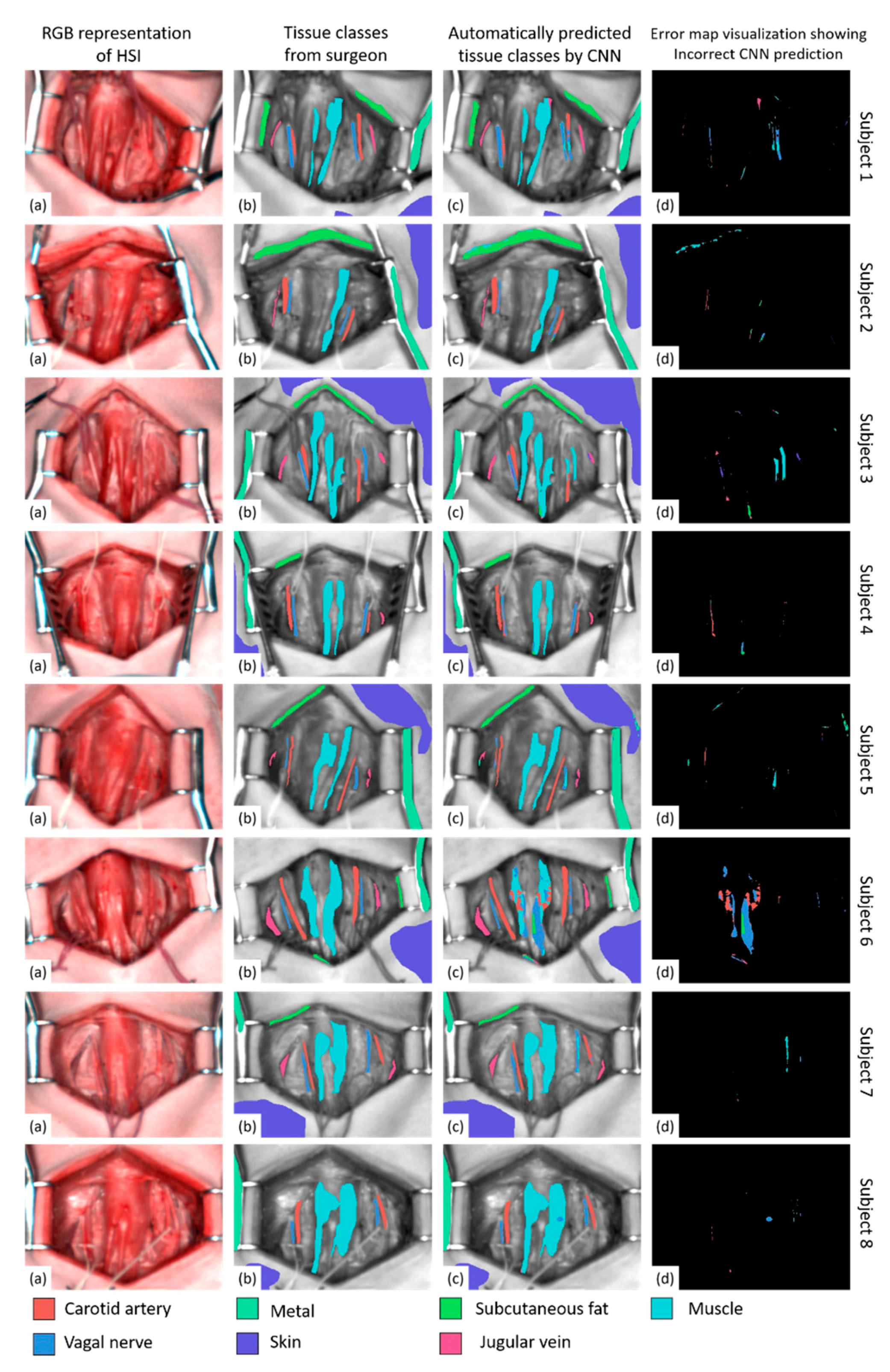 Diagnostics 11 01508 g001