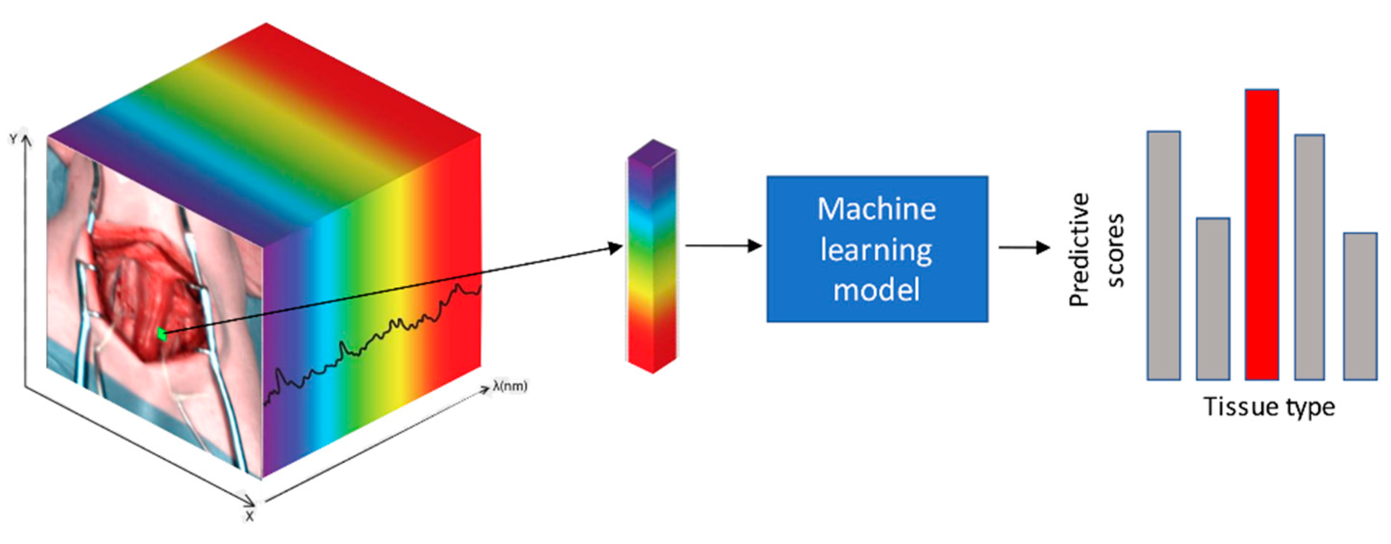 Diagnostics 11 01508 g004