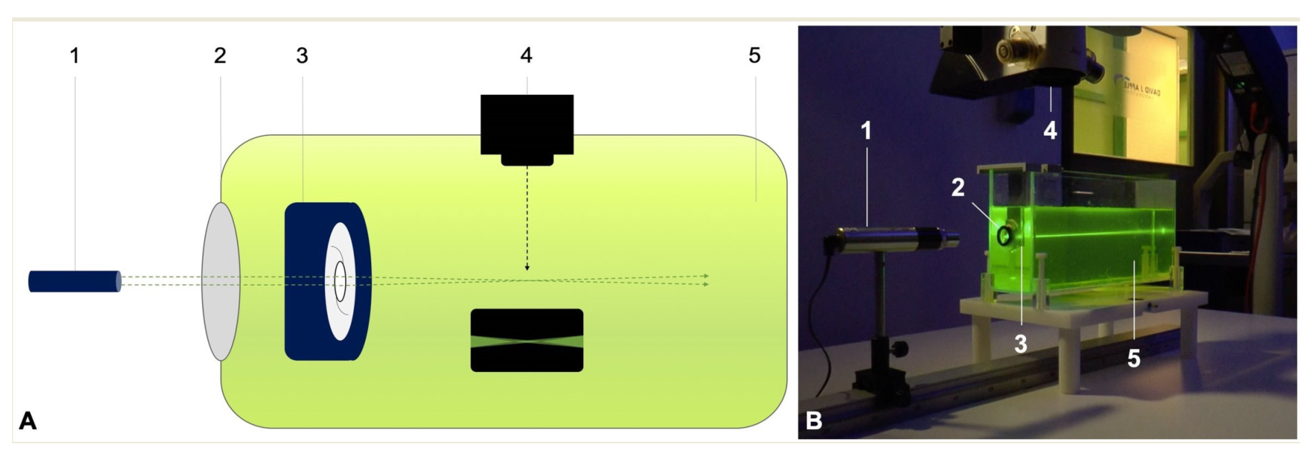 Diagnostics 11 01512 g001