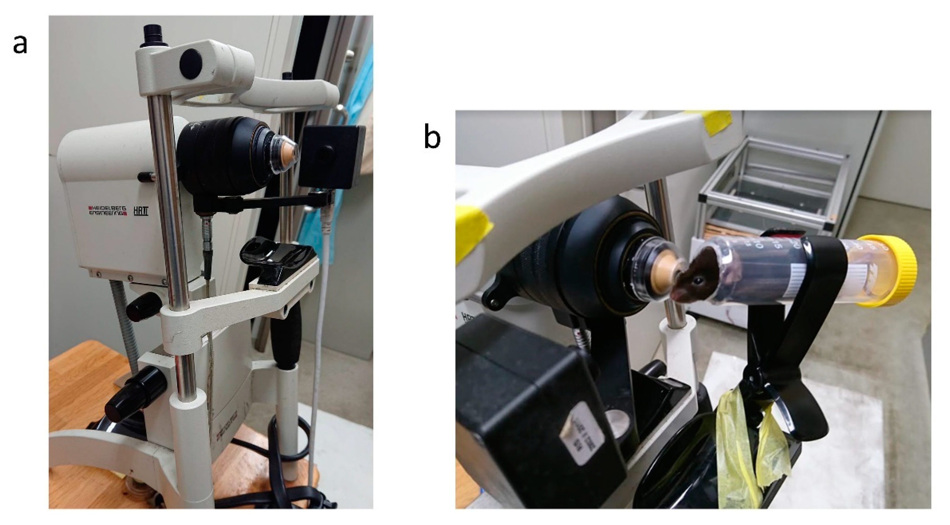 Diagnostics 11 01515 g001