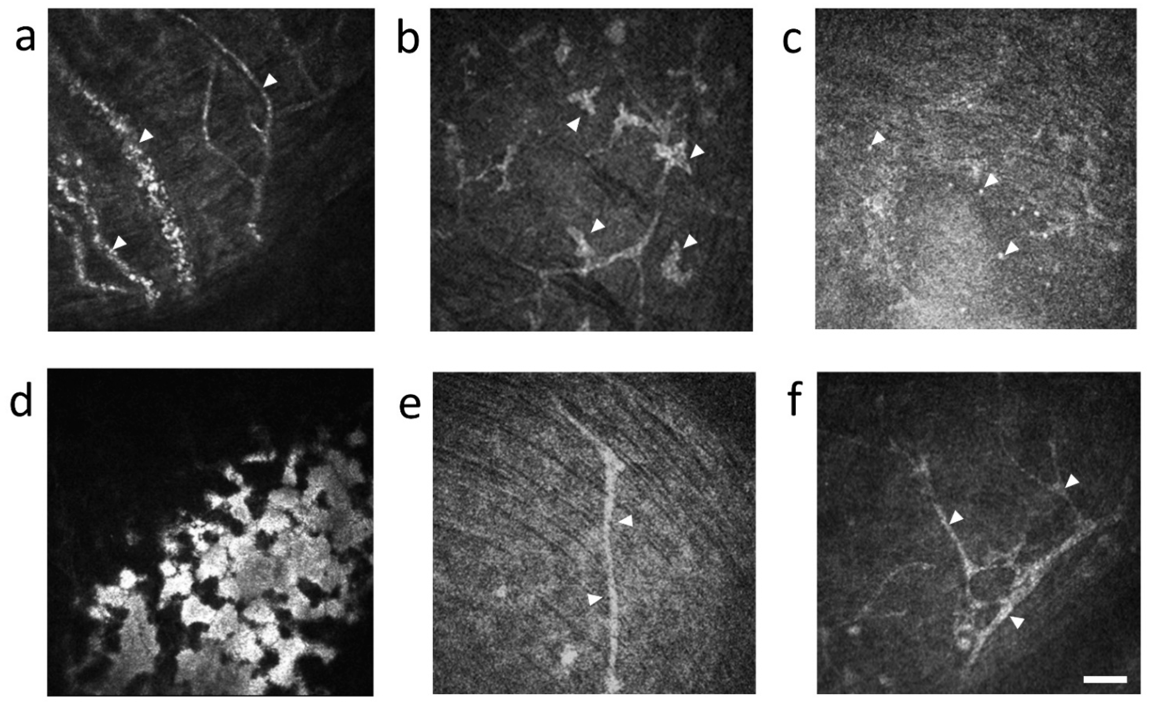 Diagnostics 11 01515 g004