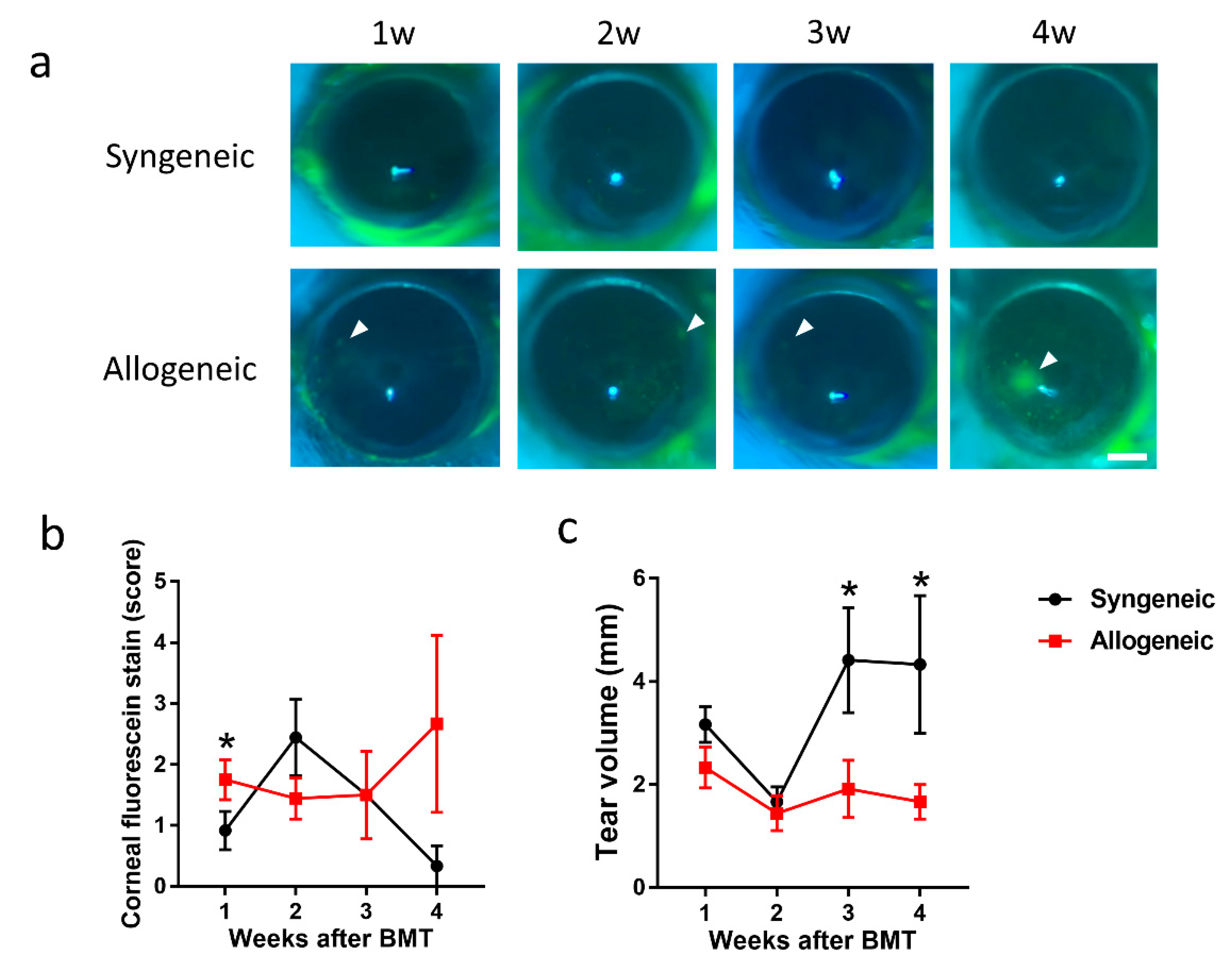 Diagnostics 11 01515 g005