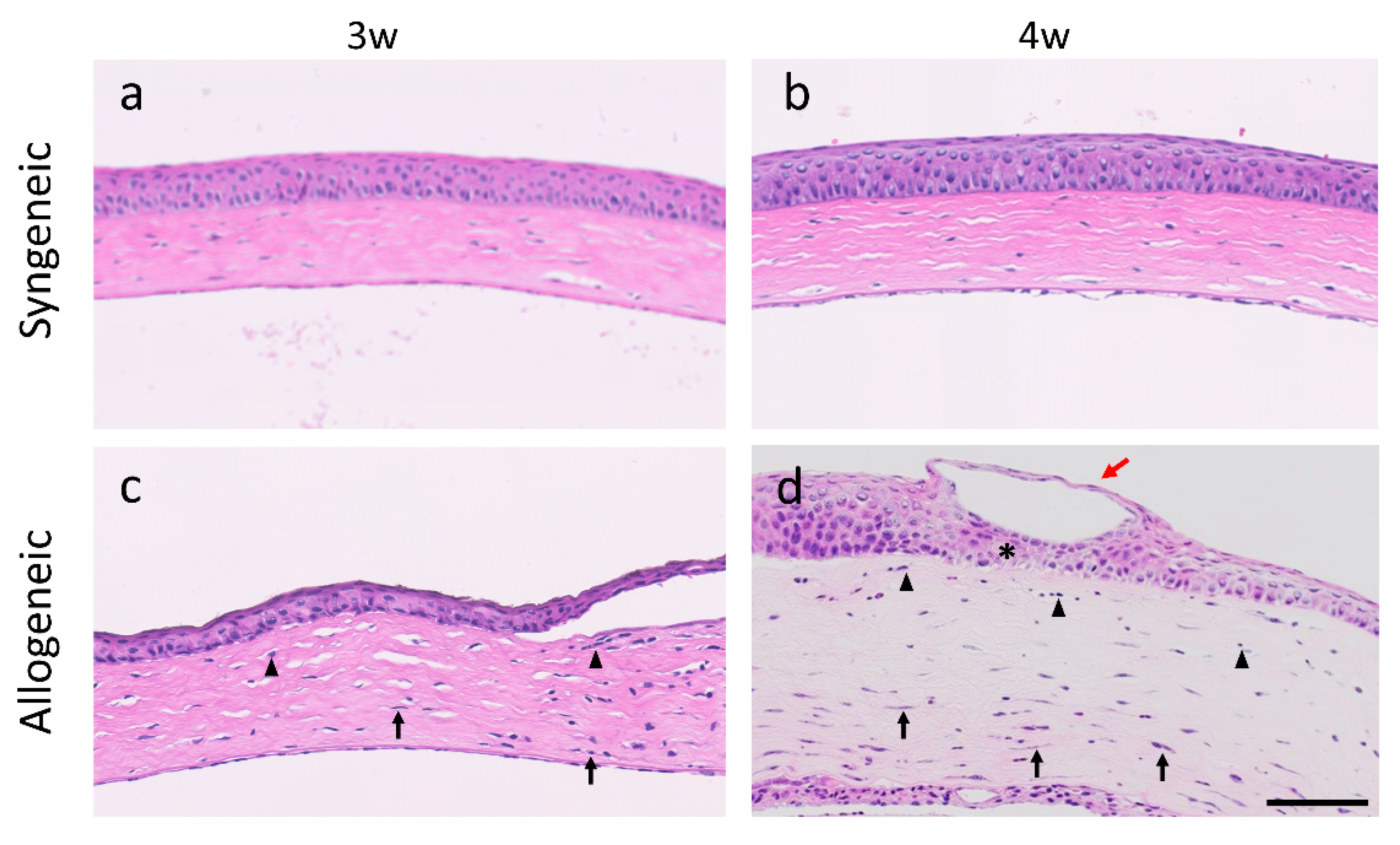 Diagnostics 11 01515 g006