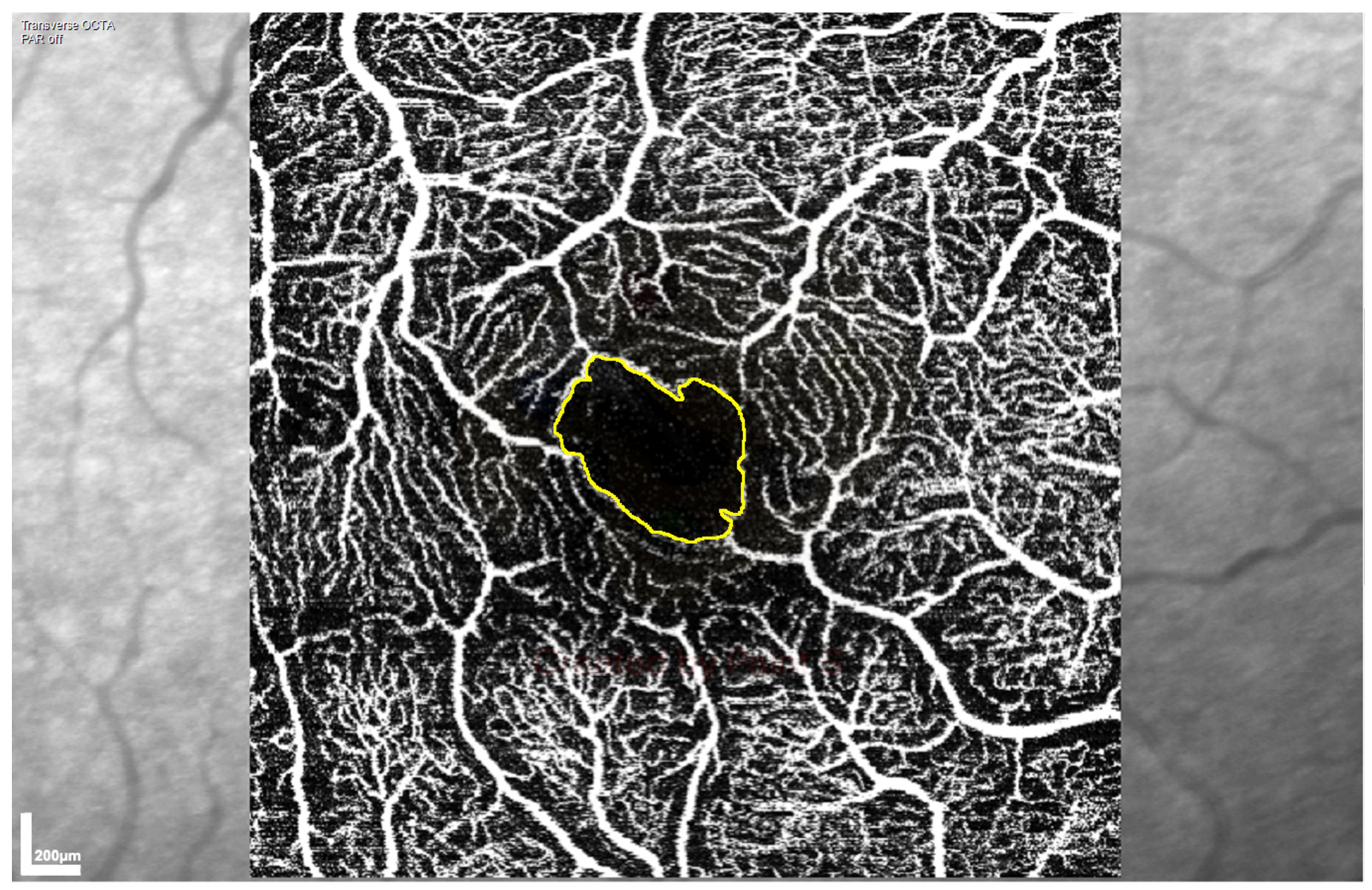 Diagnostics 11 01516 g001