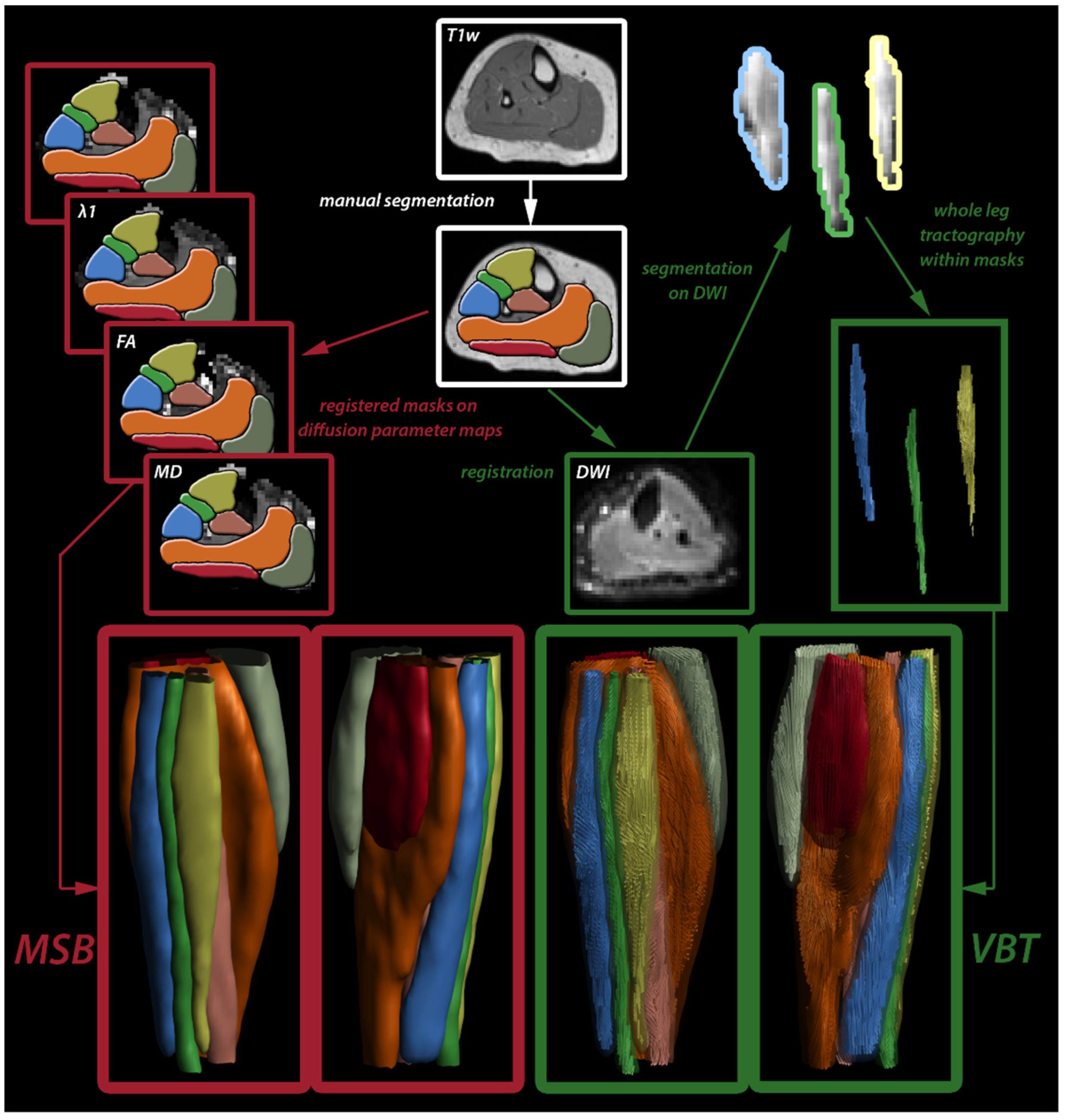 Diagnostics 11 01521 g001