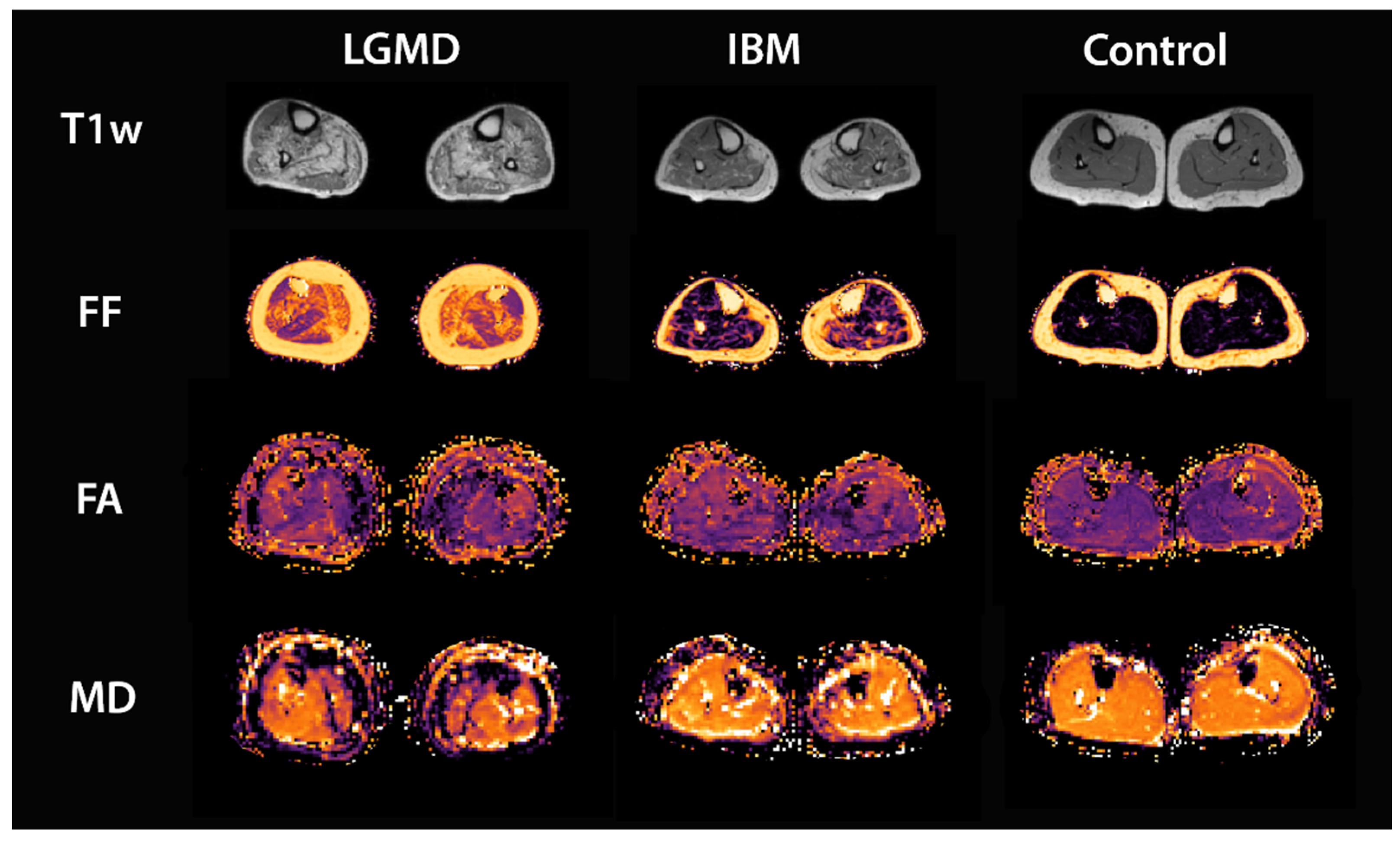 Diagnostics 11 01521 g002