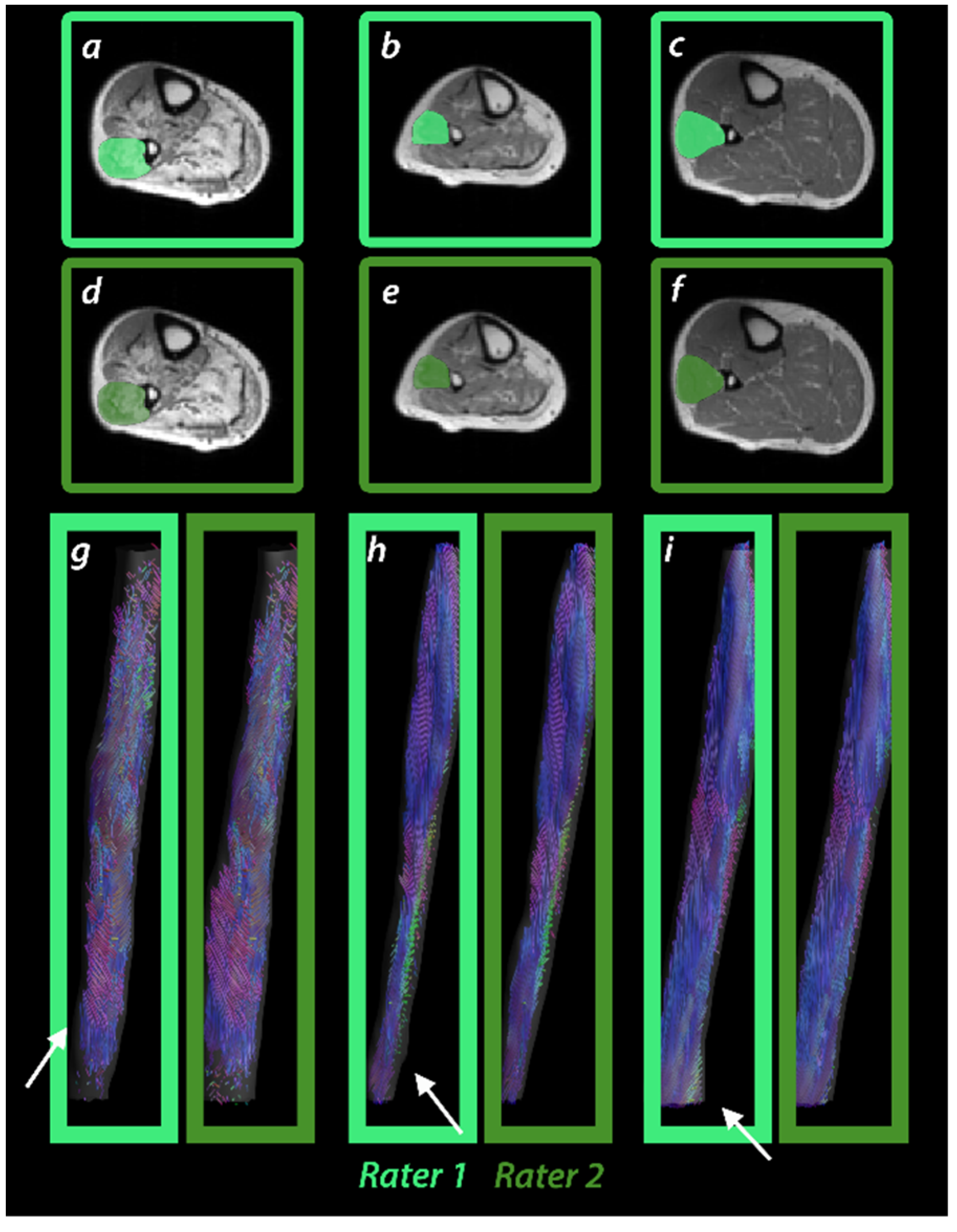 Diagnostics 11 01521 g003