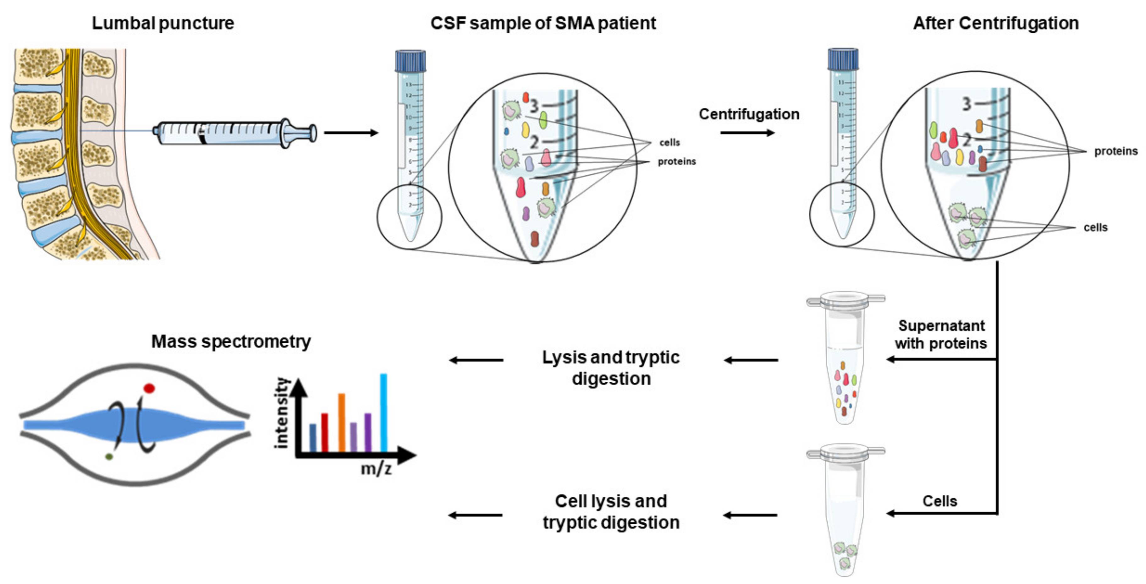 Diagnostics 11 01522 g001