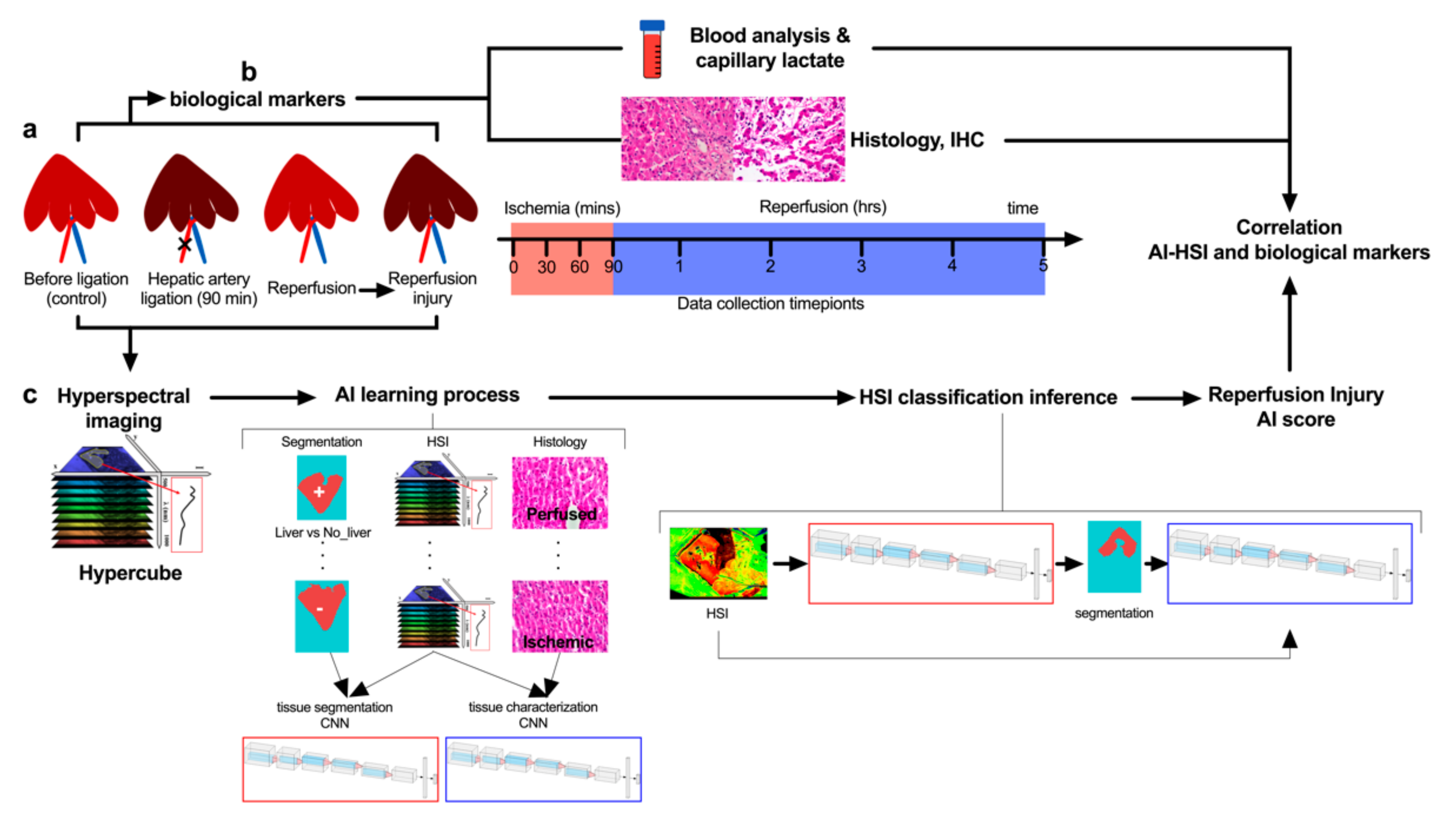 Diagnostics 11 01527 g001