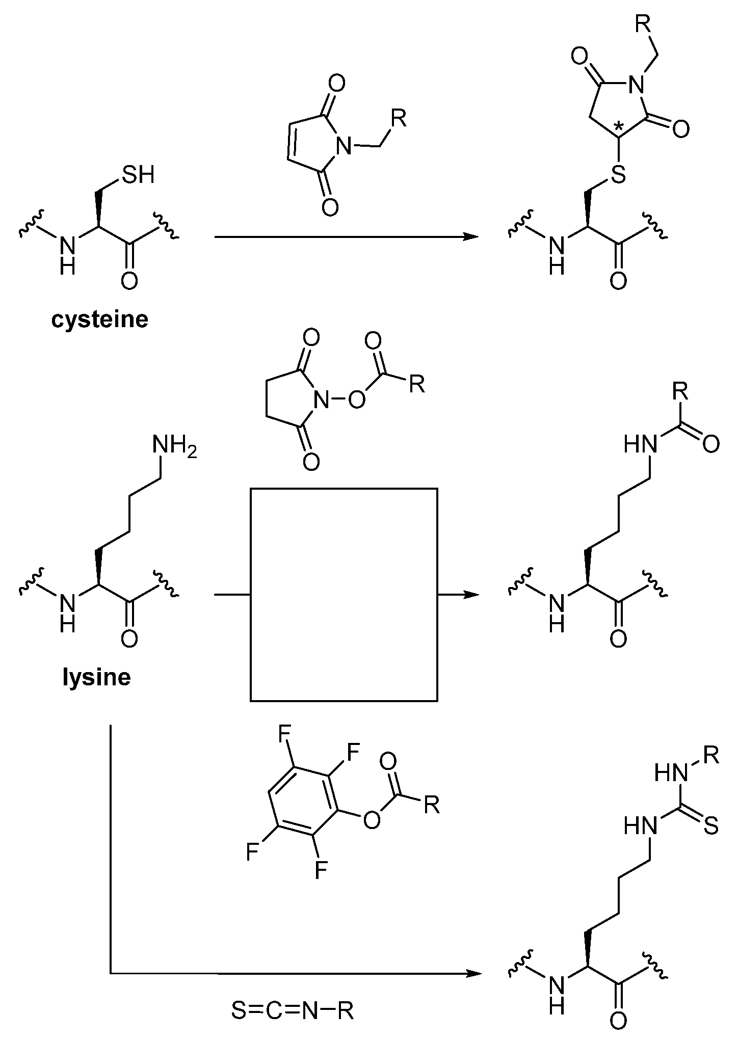 Diagnostics 11 01530 g002