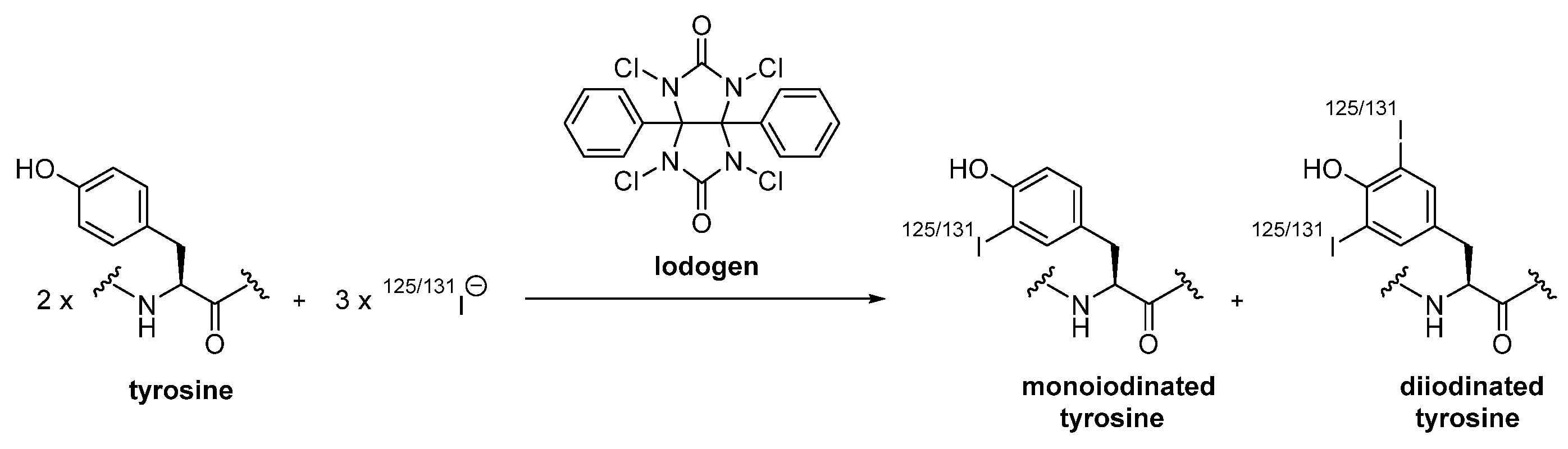 Diagnostics 11 01530 g003