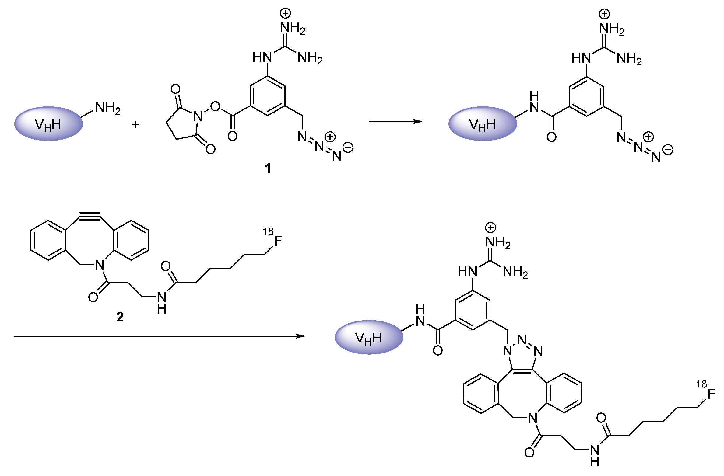 Diagnostics 11 01530 g005