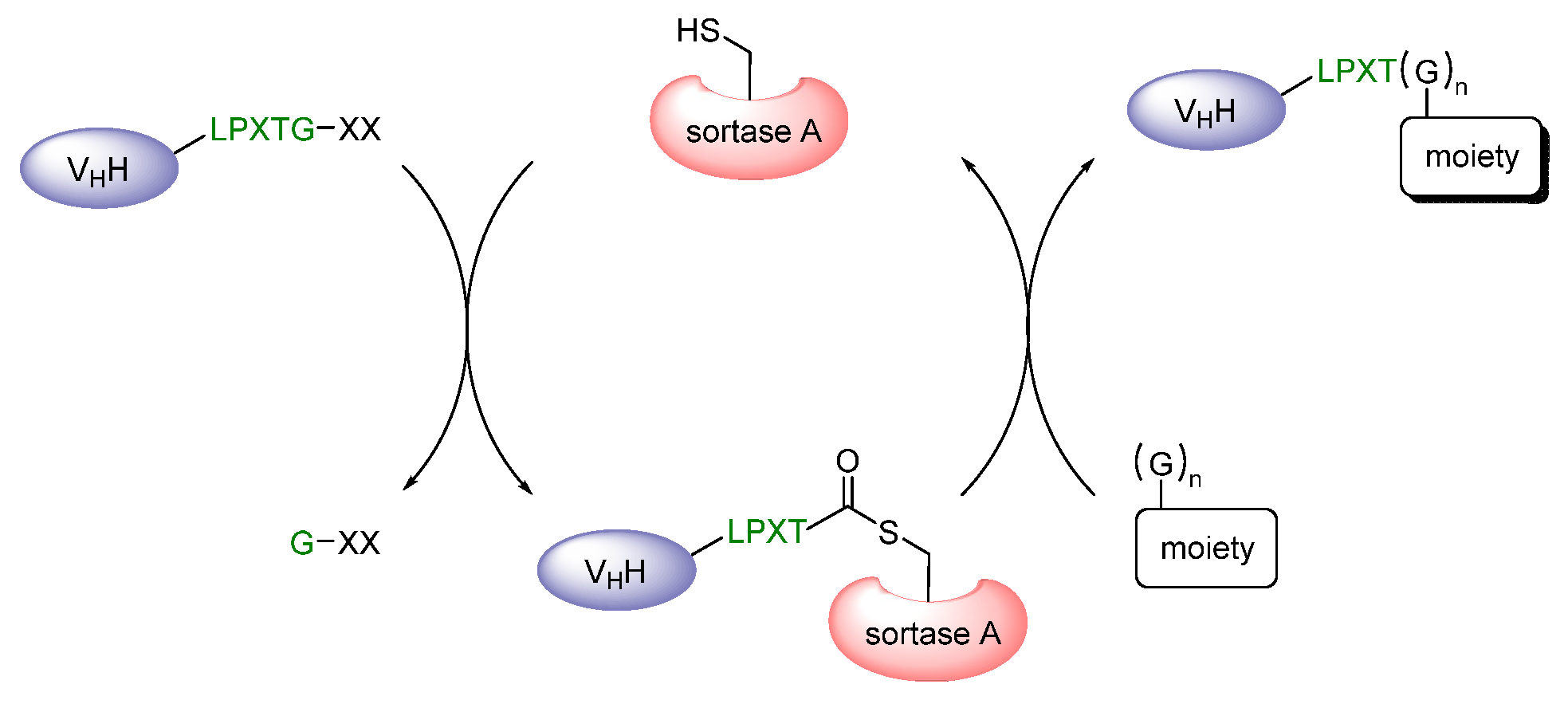 Diagnostics 11 01530 g006