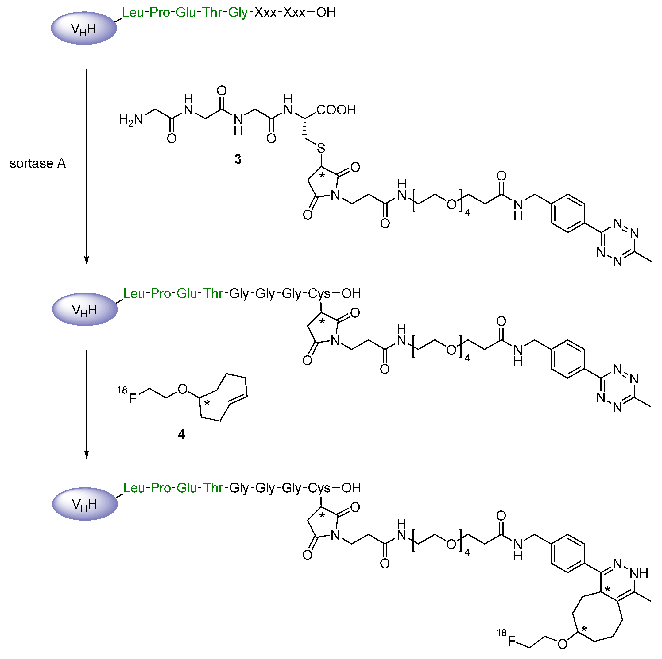 Diagnostics 11 01530 g007