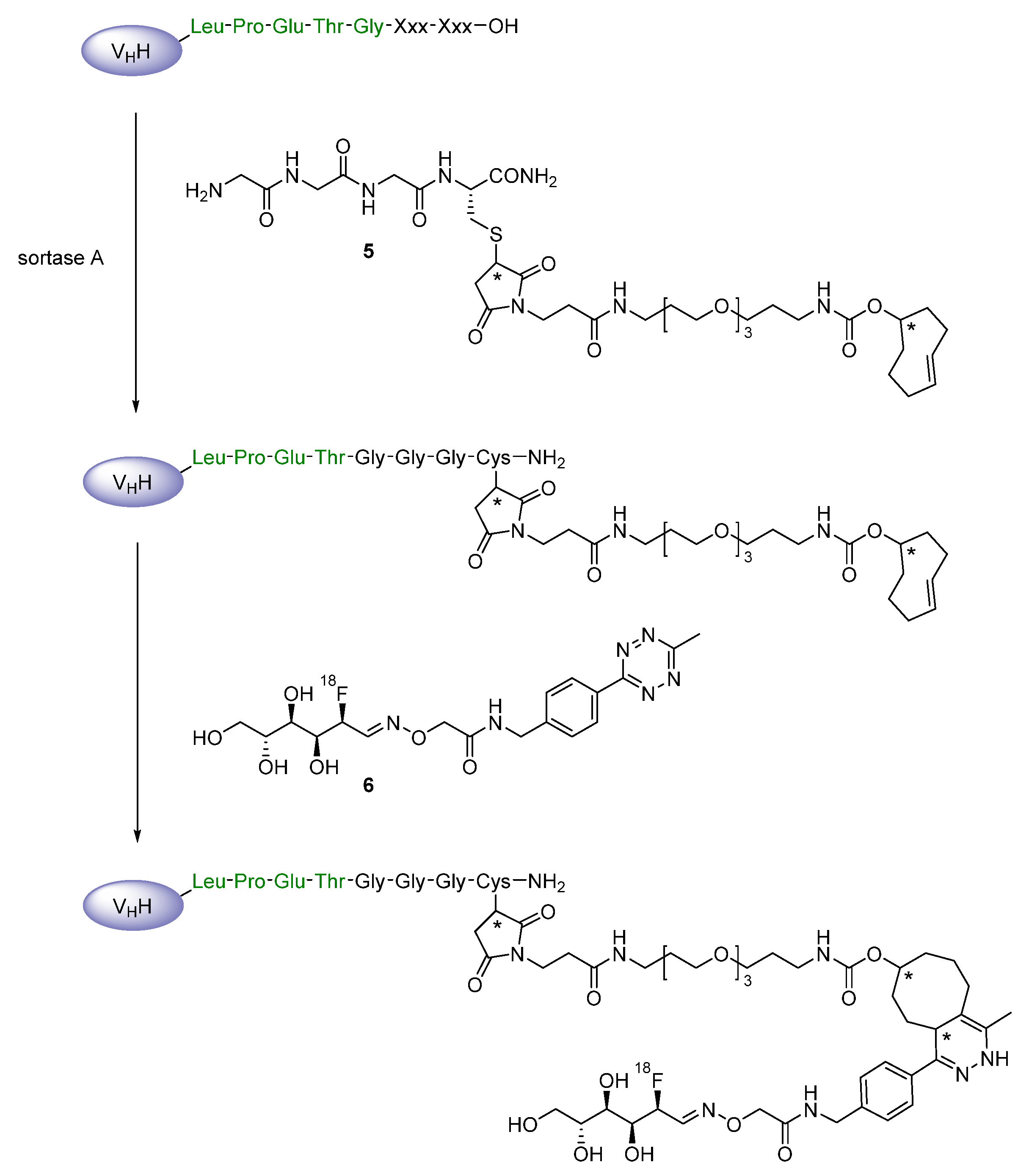 Diagnostics 11 01530 g008