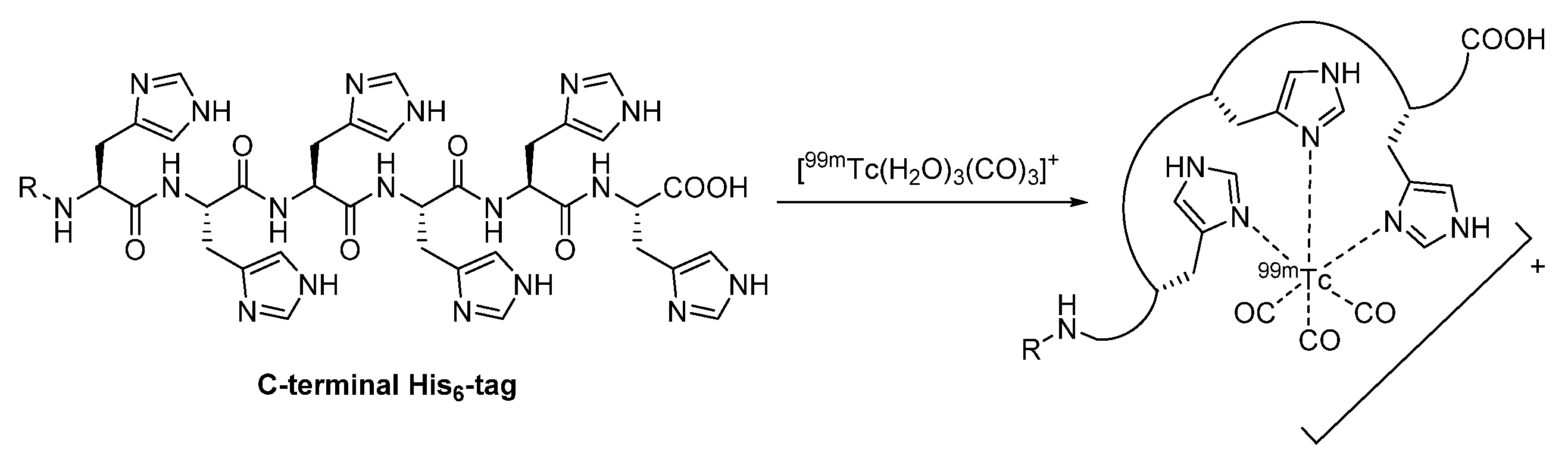 Diagnostics 11 01530 g015
