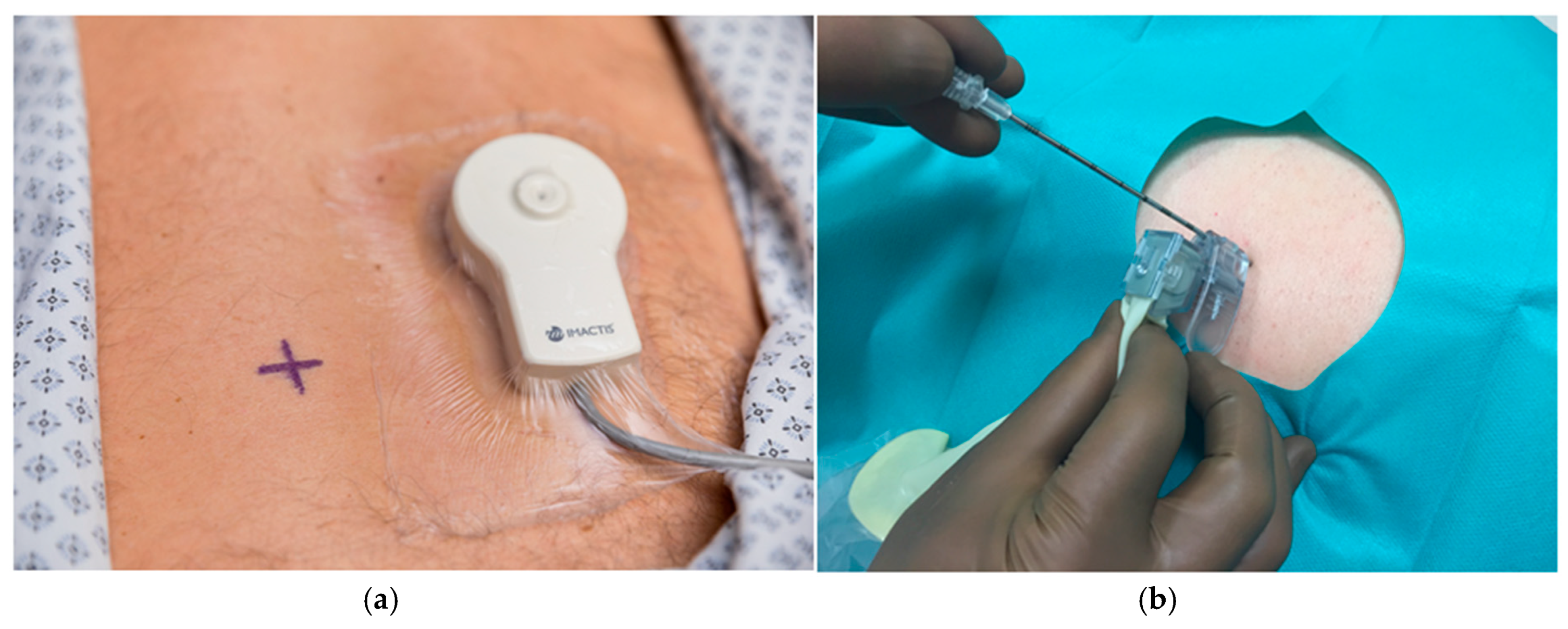 Diagnostics 11 01532 g001a