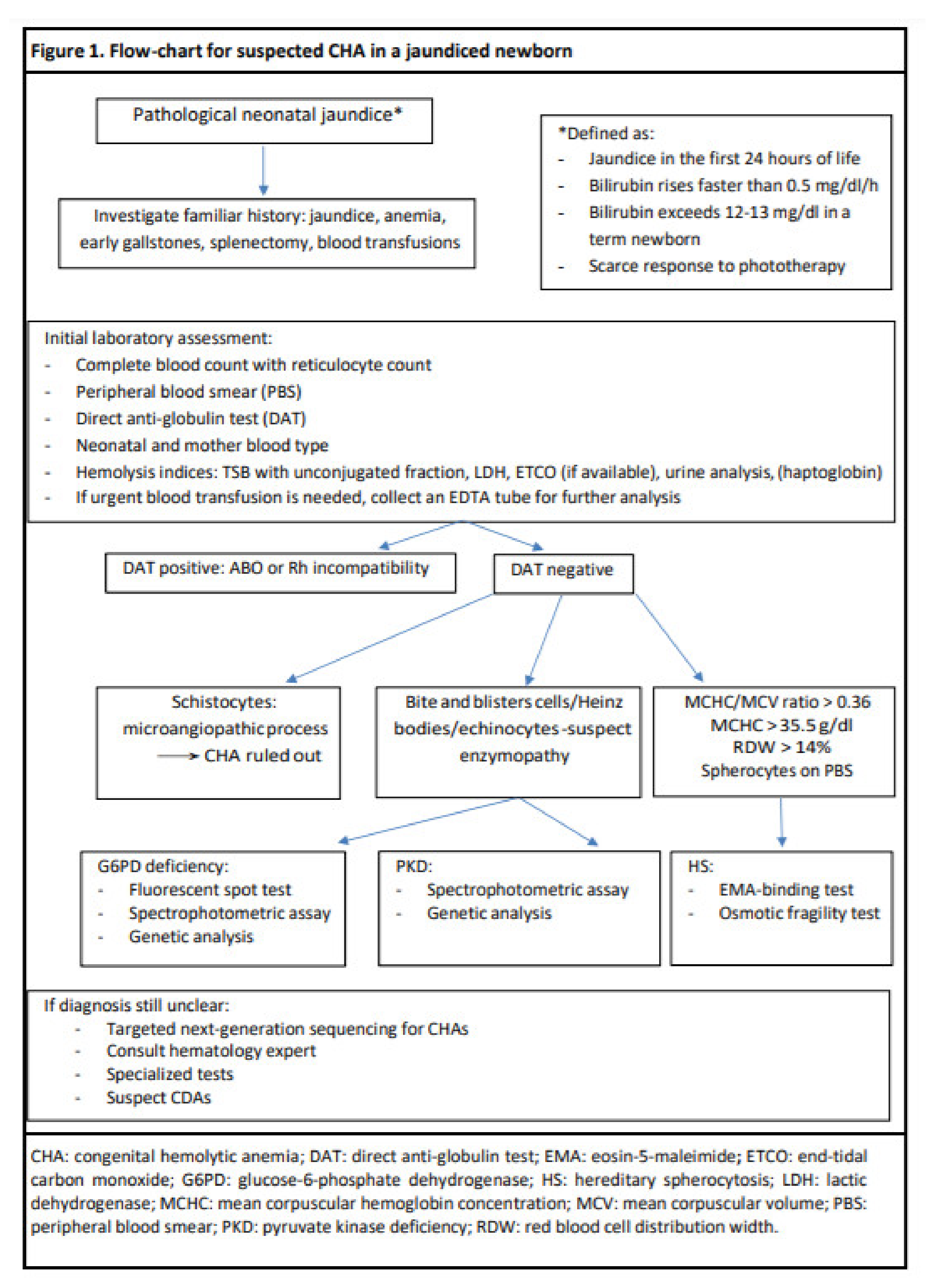Diagnostics 11 01549 g001 Diagnostics 11 01549 g001