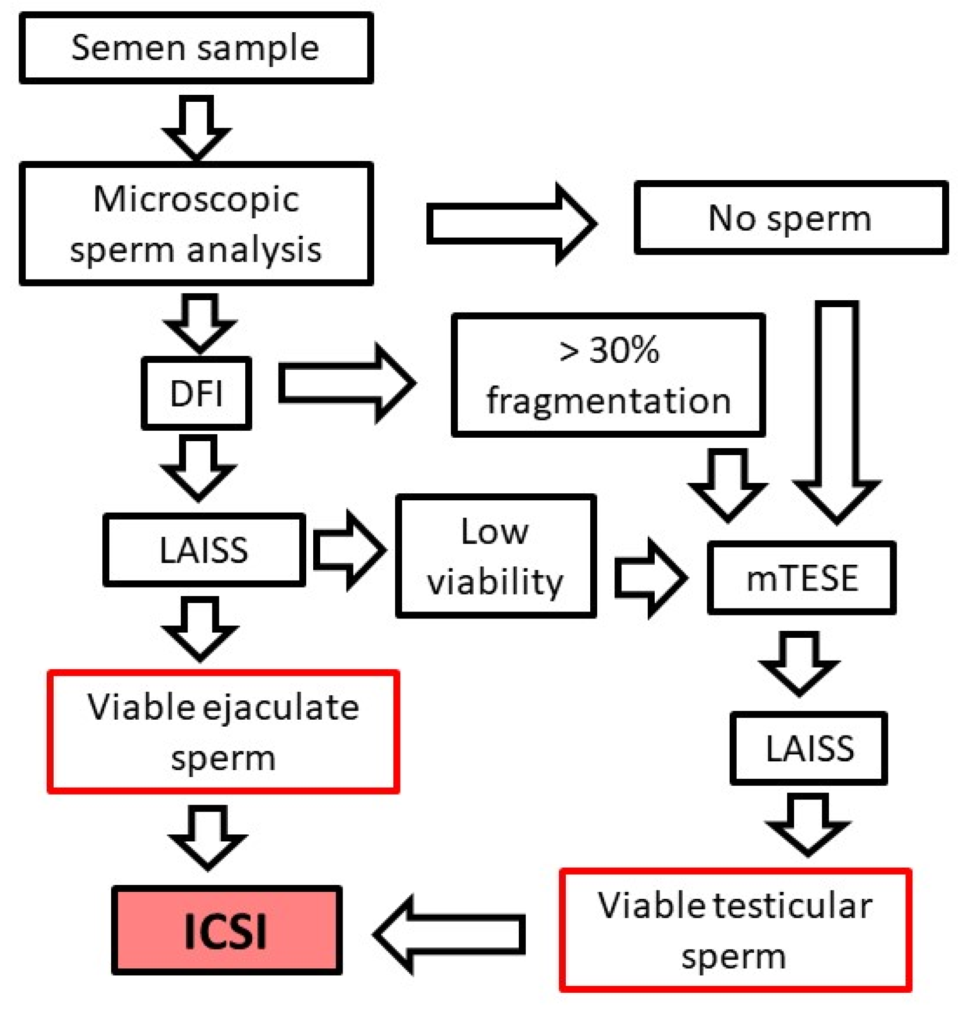 Diagnostics 11 01550 g004