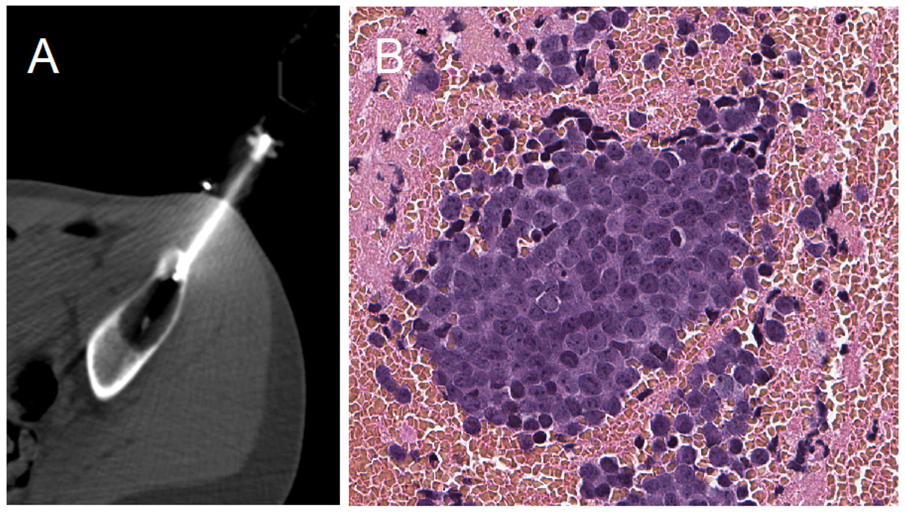 Diagnostics 11 01552 g001
