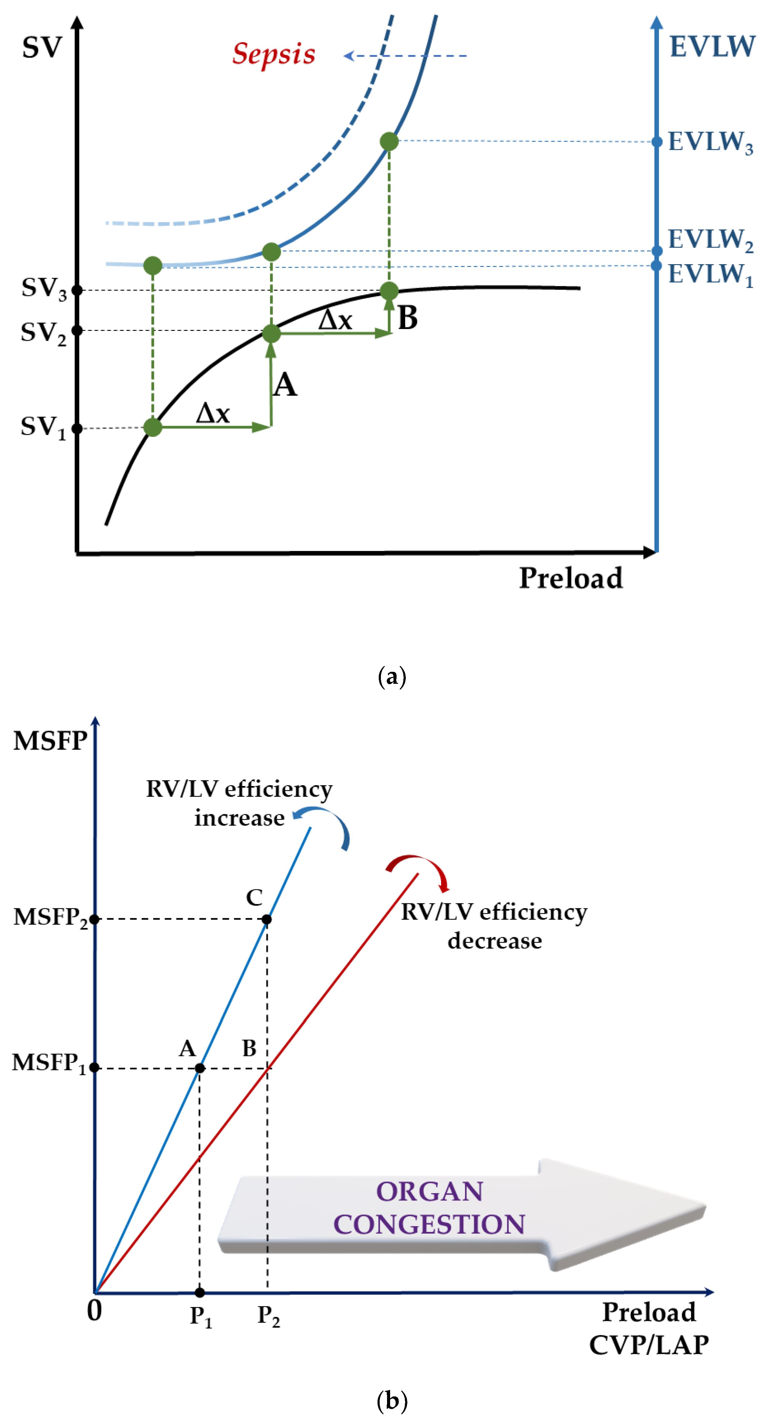 Diagnostics 11 01559 g003