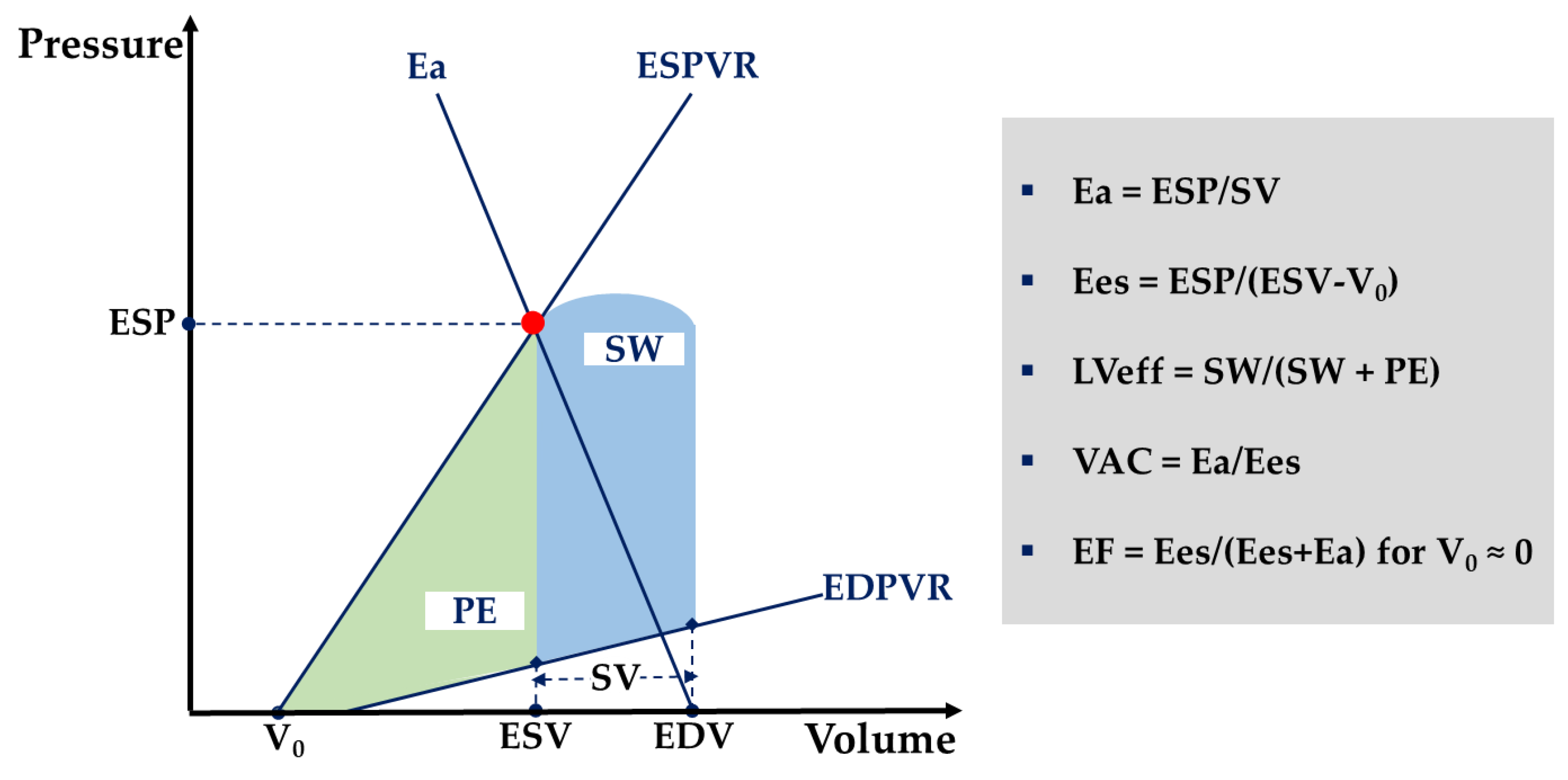 Diagnostics 11 01559 g004