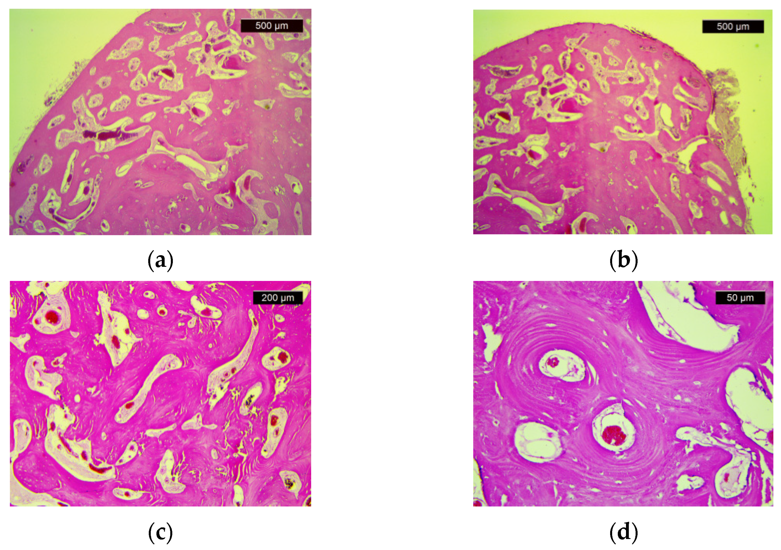 Diagnostics 11 01560 g004