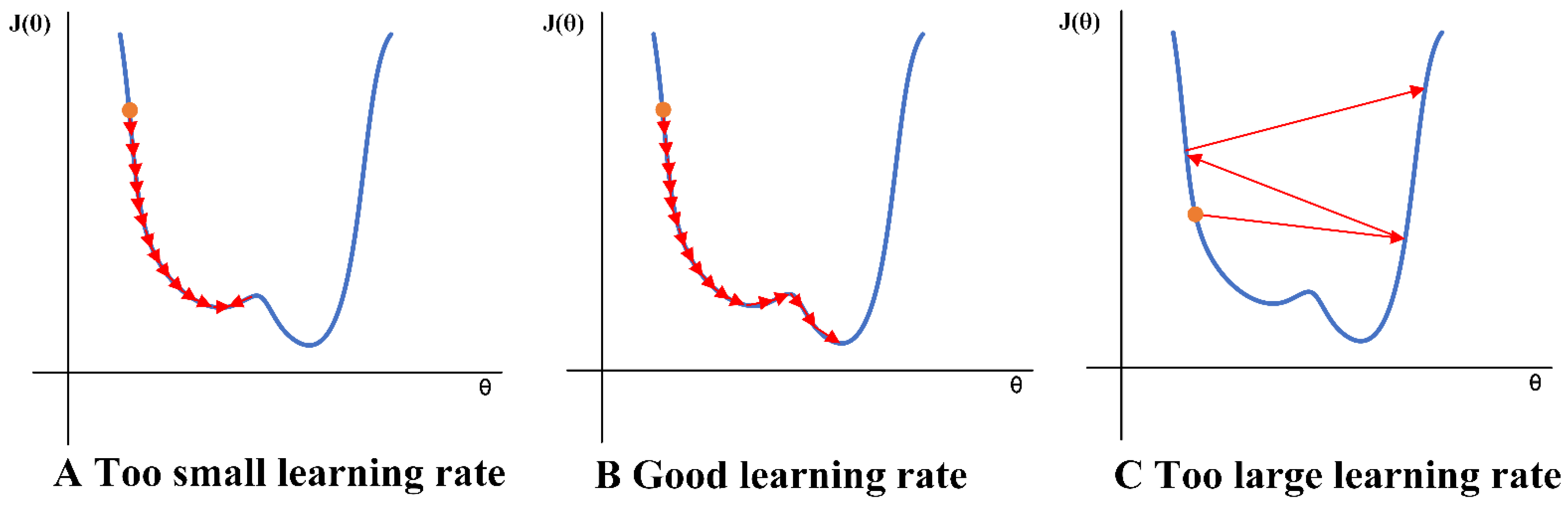 Diagnostics 11 01562 g0a6