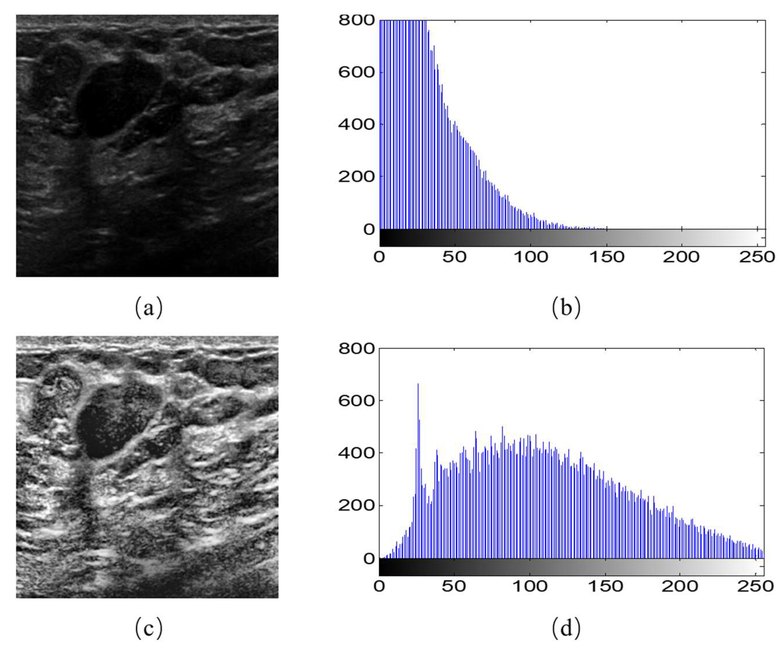 Diagnostics 11 01565 g002