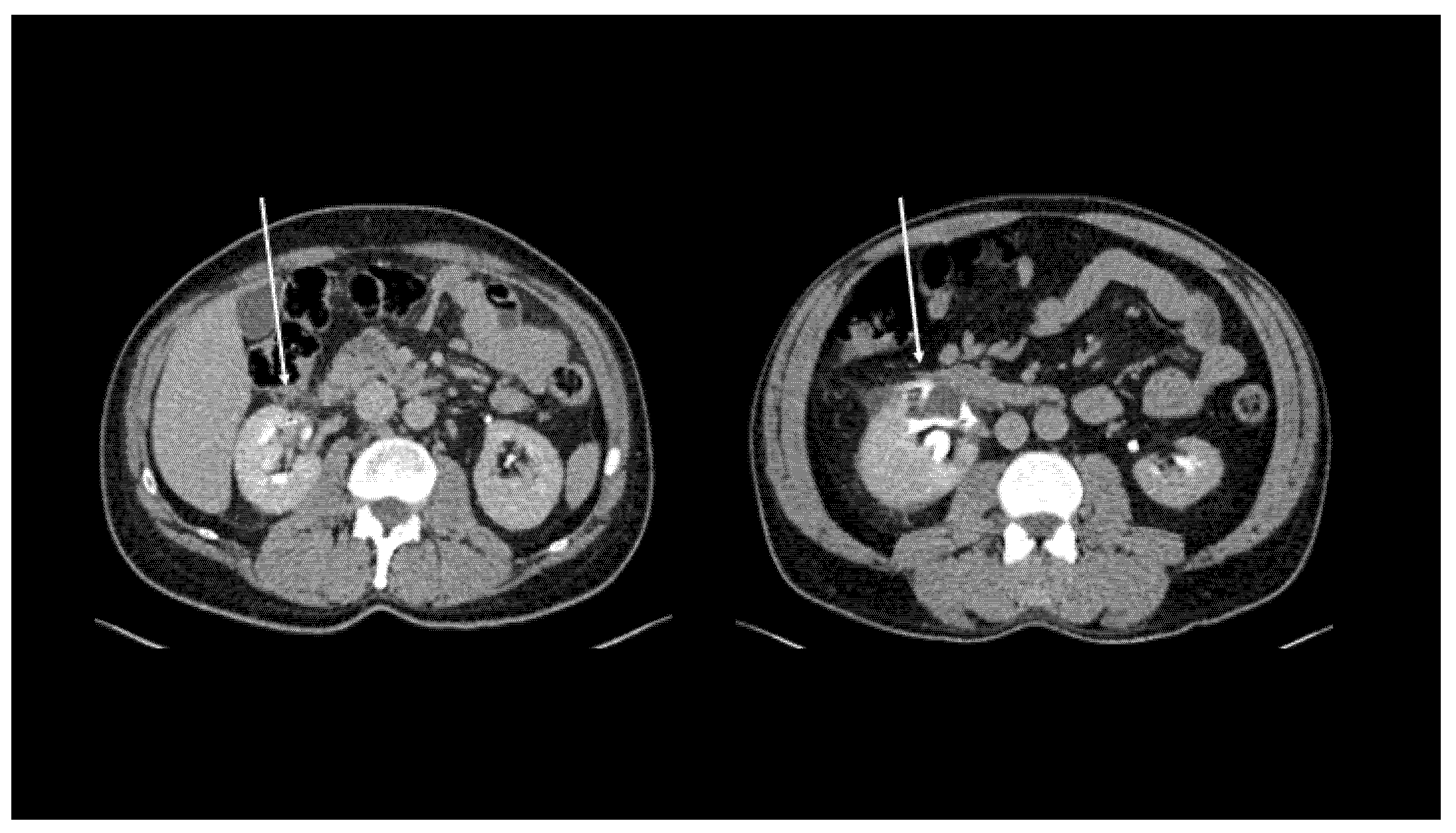 Diagnostics 11 01568 g001