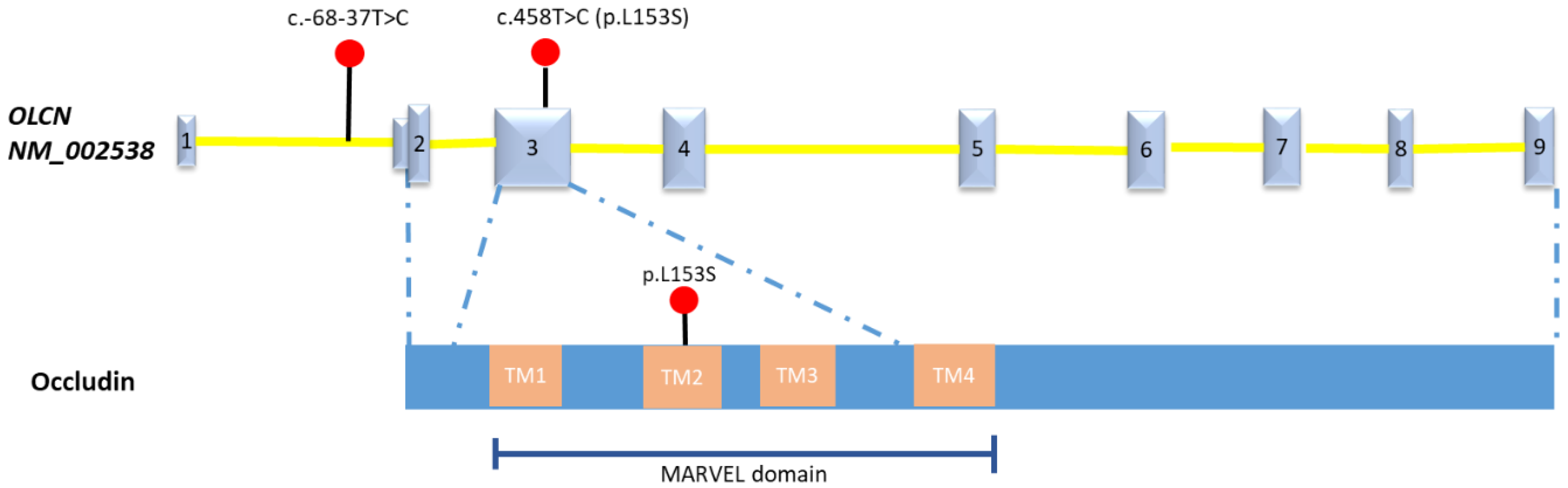 Diagnostics 11 01576 g004