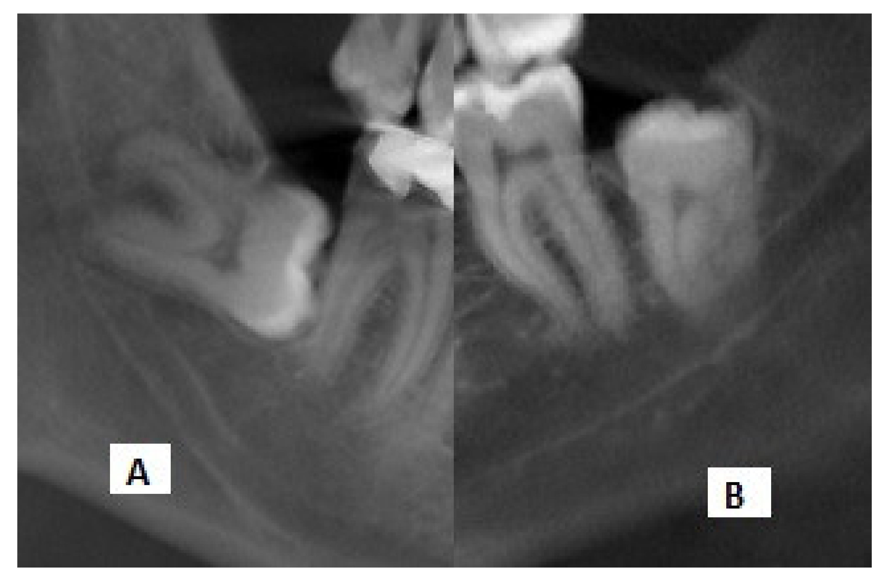 Diagnostics 11 01578 g002