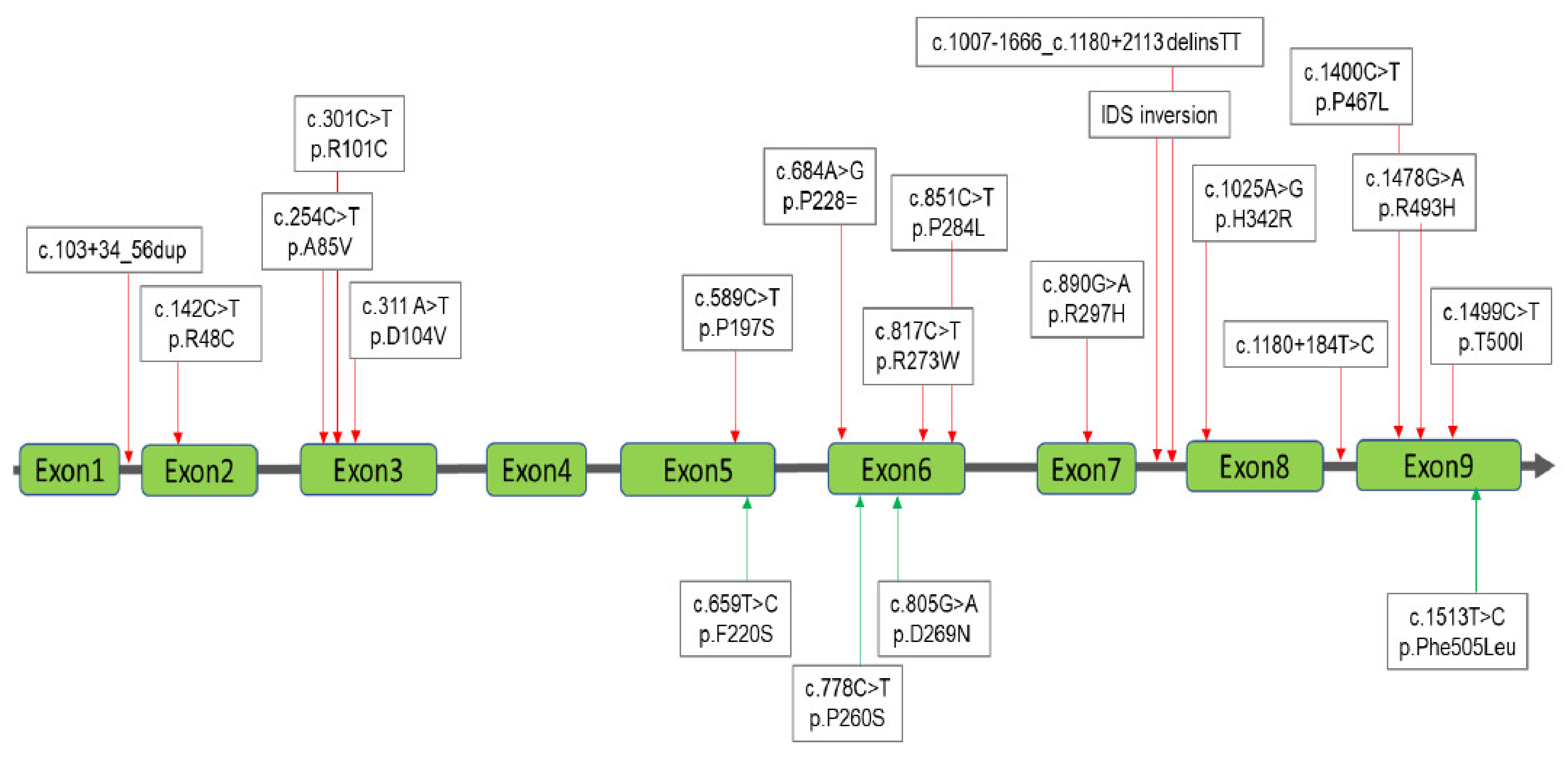 Diagnostics 11 01583 g003