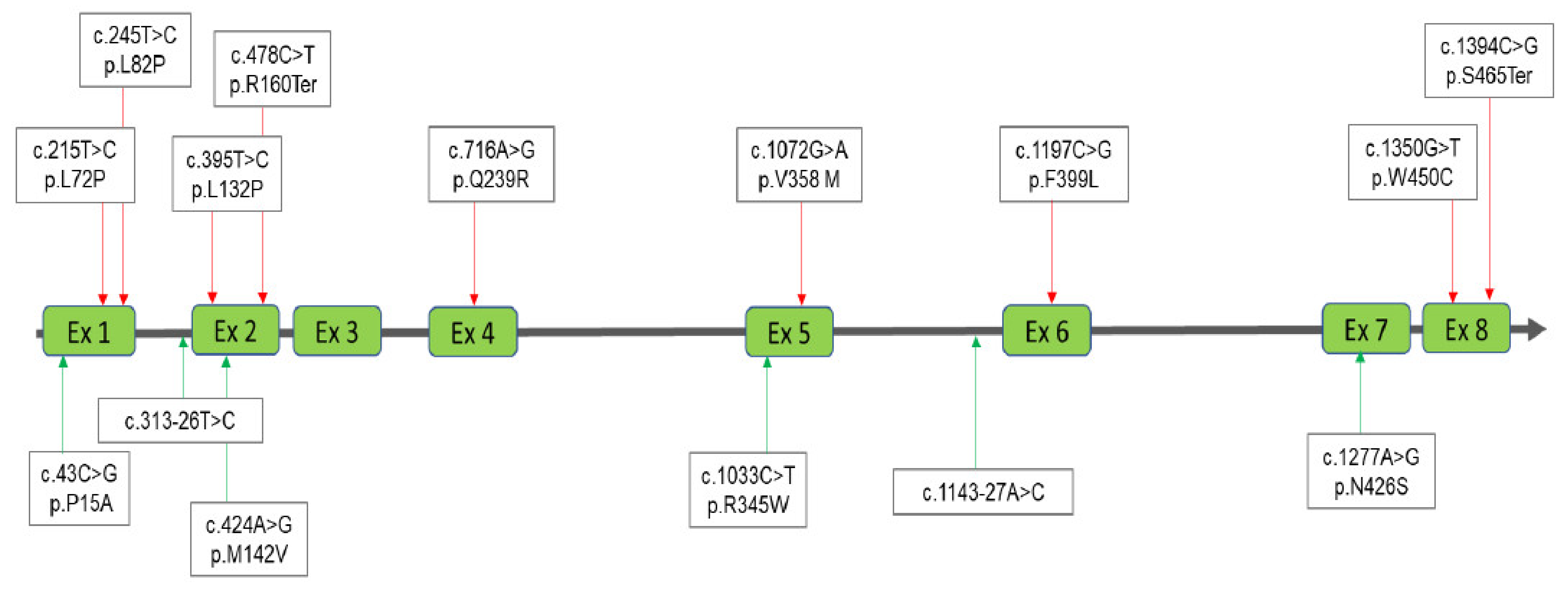 Diagnostics 11 01583 g005