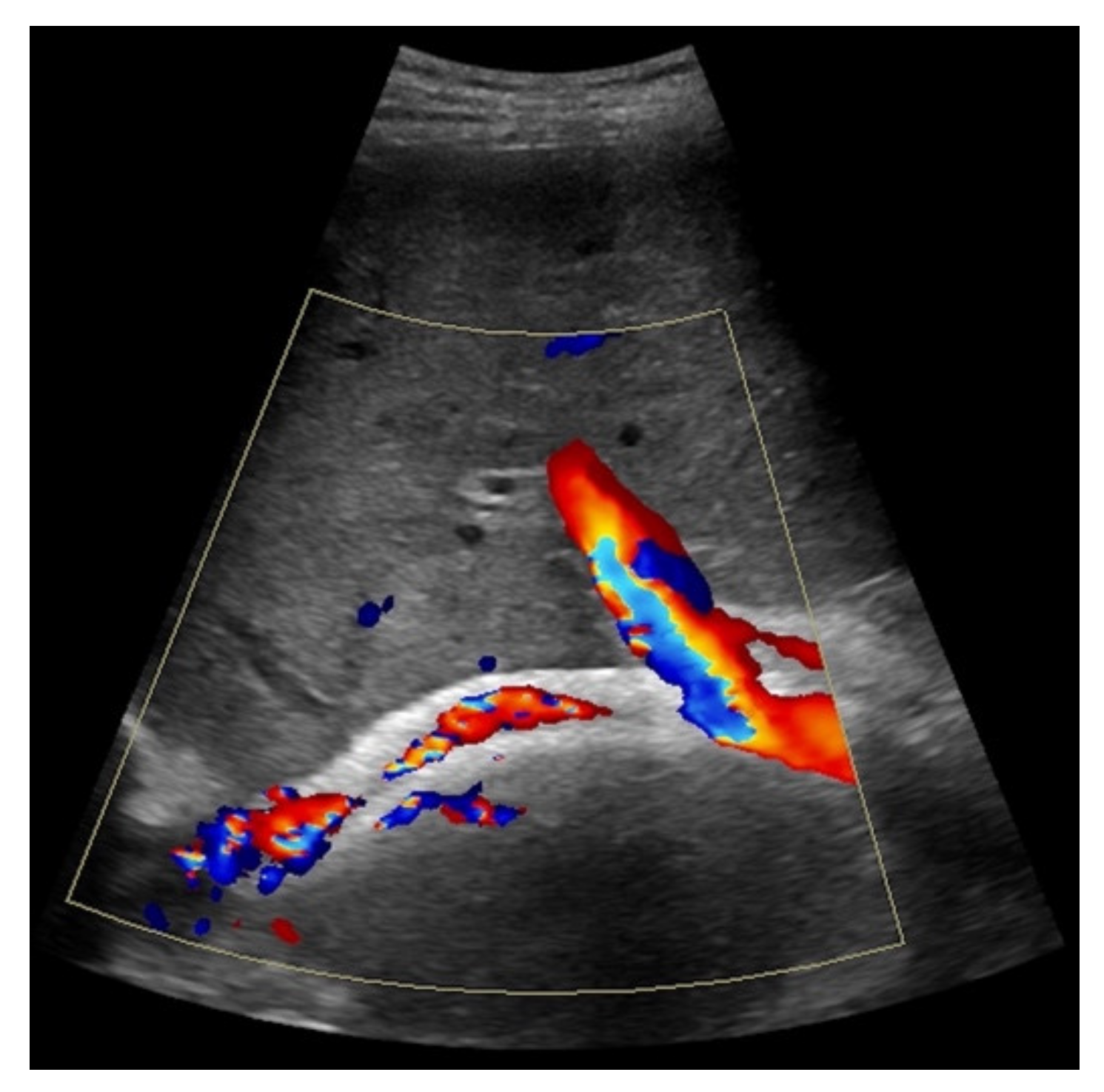 Diagnostics 11 01593 g003