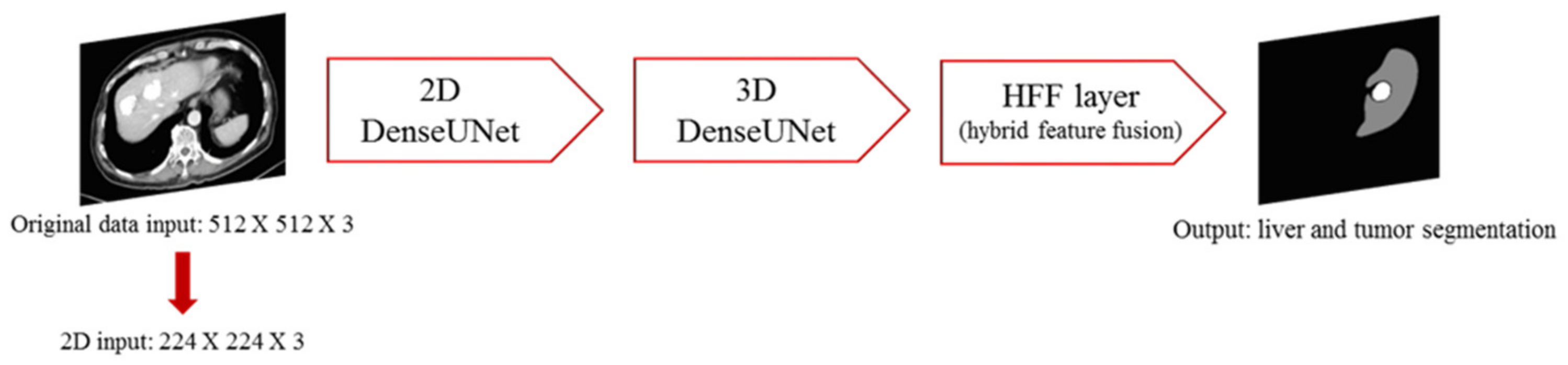 Diagnostics 11 01599 g003 Diagnostics 11 01599 g003
