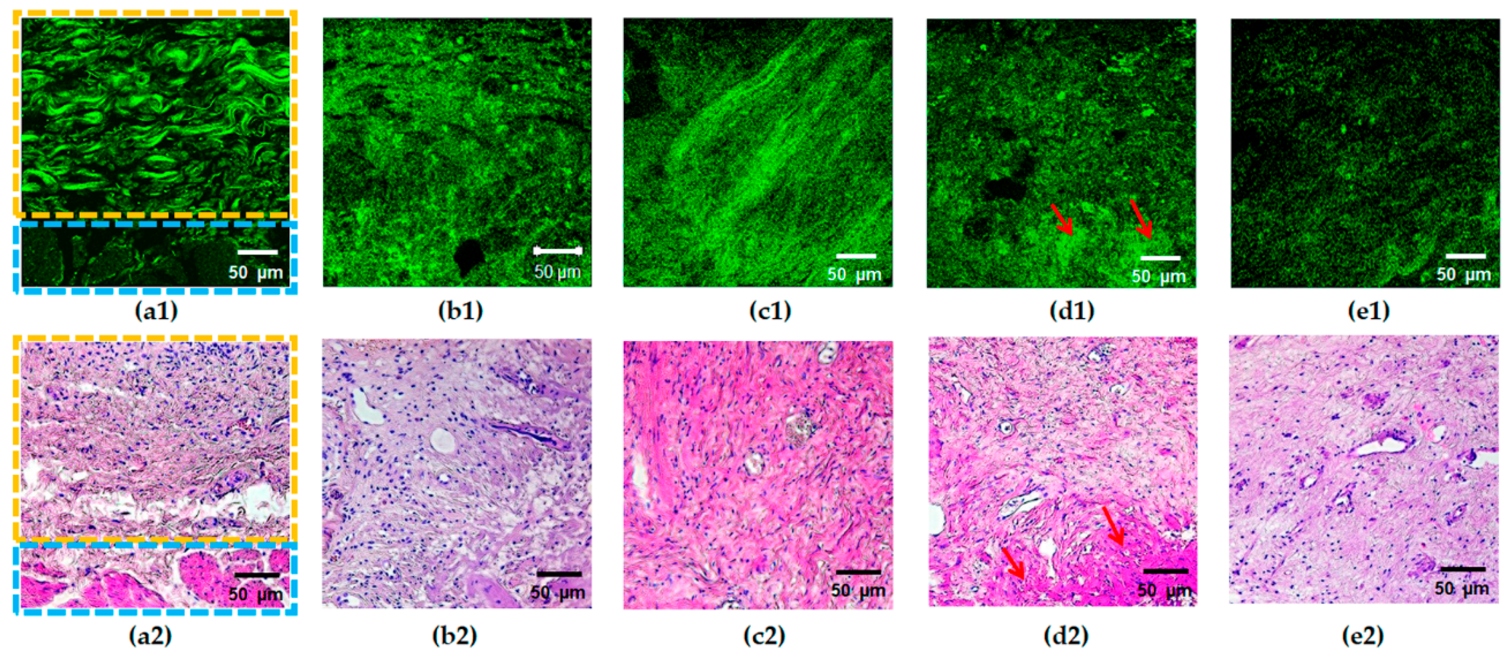Diagnostics 11 01615 g003 Diagnostics 11 01615 g003