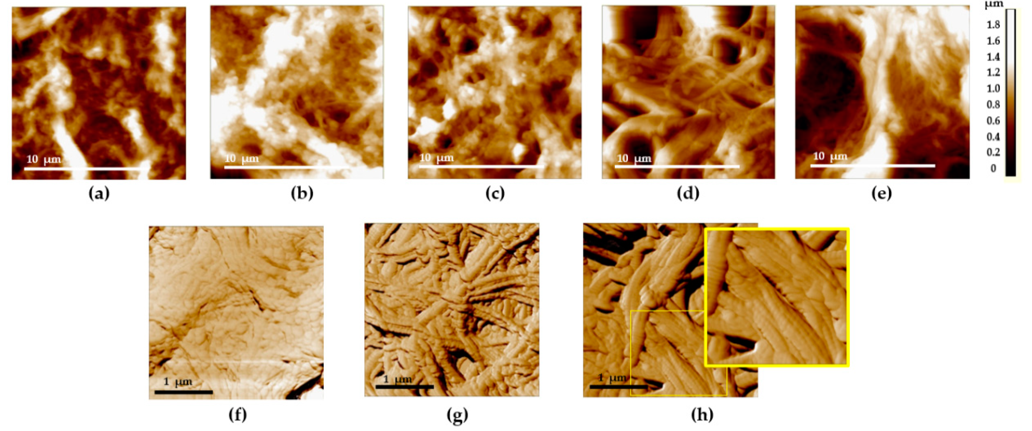 Diagnostics 11 01615 g004 Diagnostics 11 01615 g004