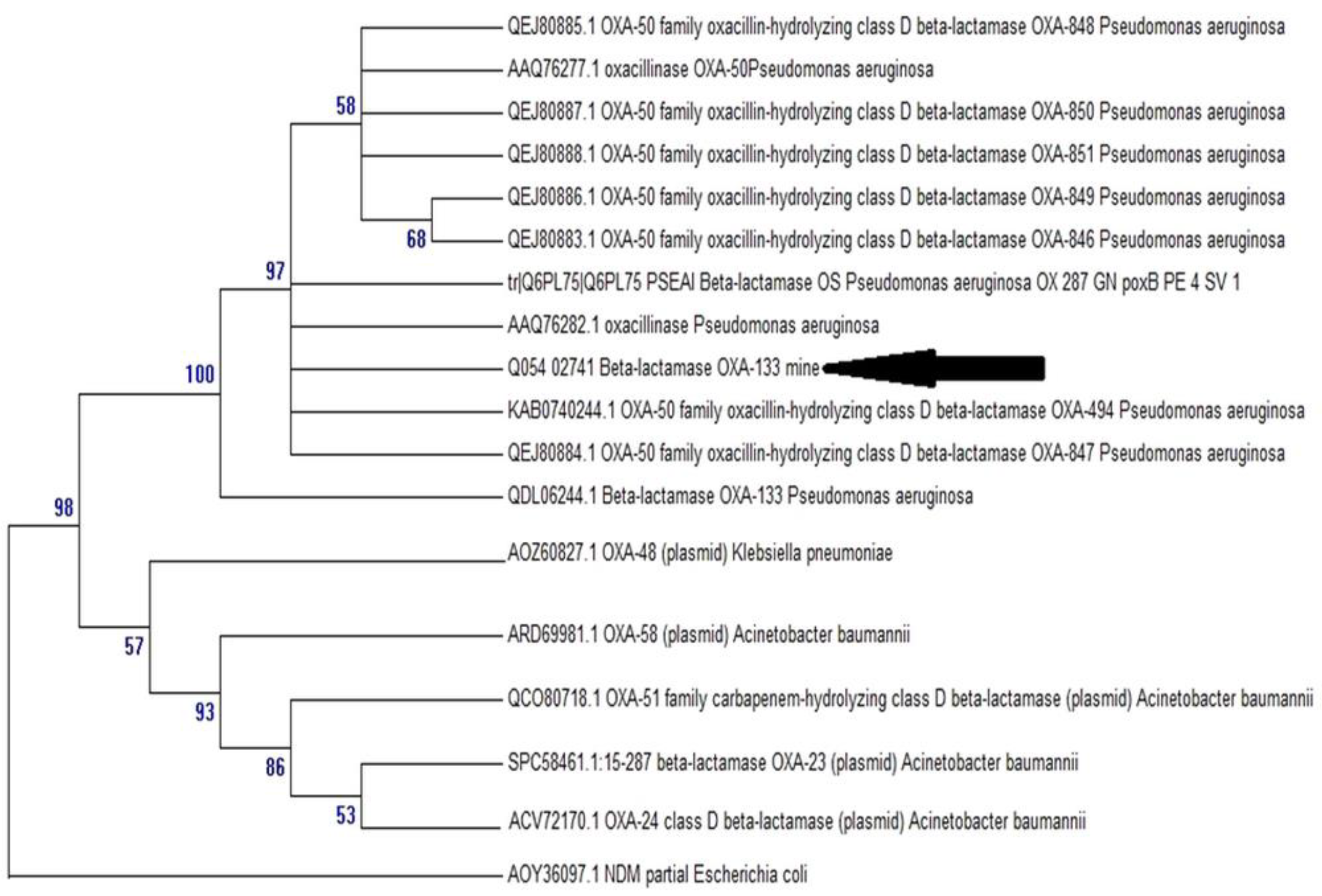 Diagnostics 11 01617 g002
