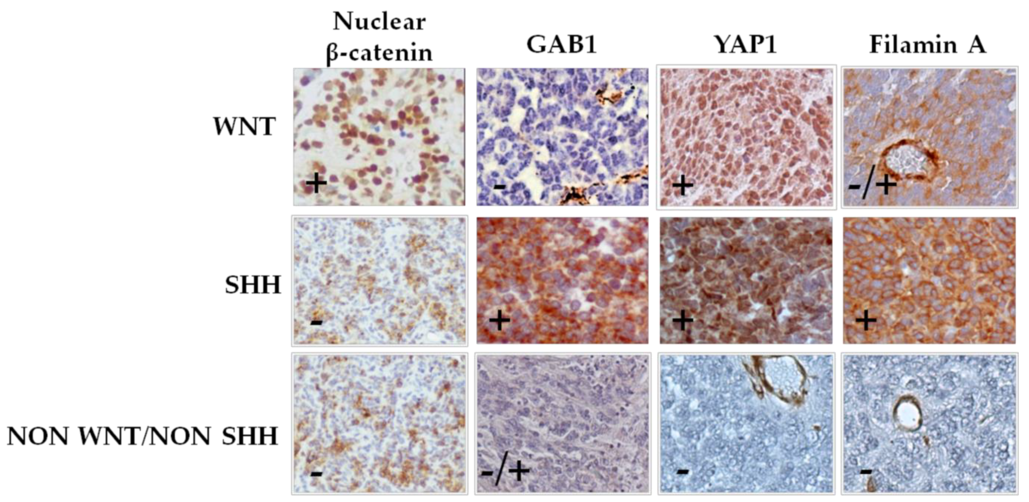 Diagnostics 11 01633 g001